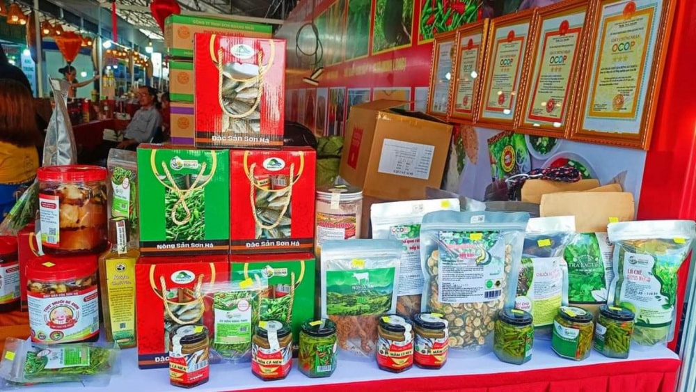 hop-tac-xa-nong-nghiep-sach-son-ha-thuc-hien-co-hieu-qua-chuong-trinh-phat-trien-san-pham-ocop-tinh-quang-ngai_67657c02b85ff.jpg