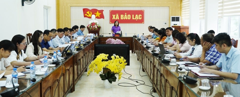b3.jpg