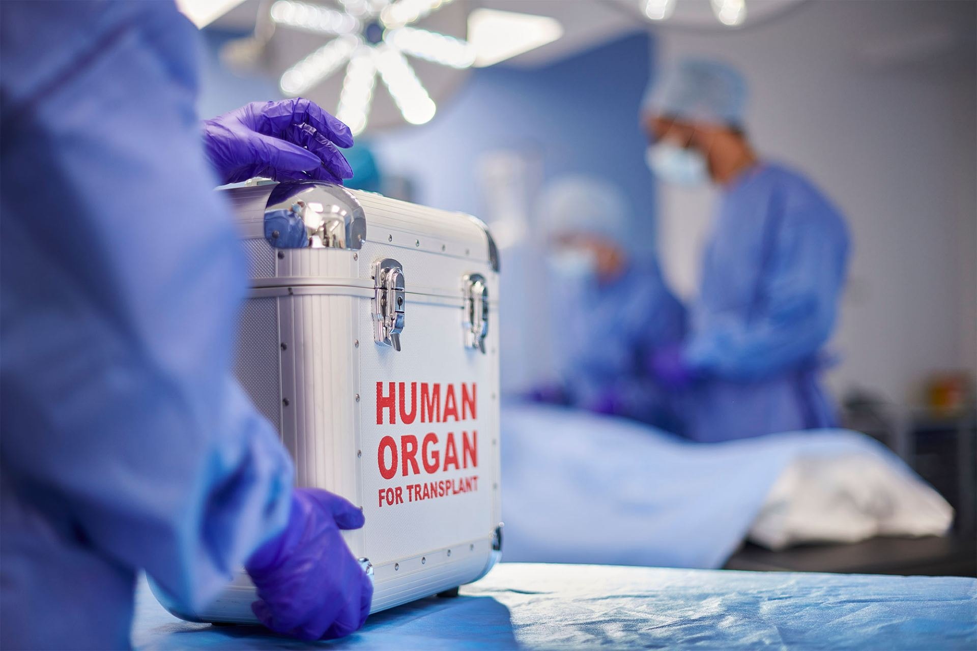 stock-organ-transplant-2000.jpg