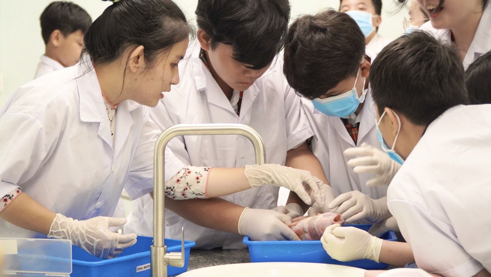 Tiết học thí nghiệm thực hành giúp bộ môn Sinh học trở nên hấp dẫn hơn
