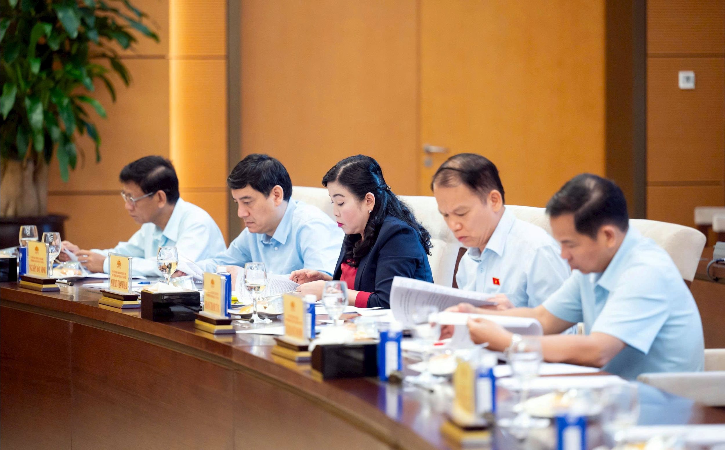 Các đại biểu tham dự cuộc làm việc (3)