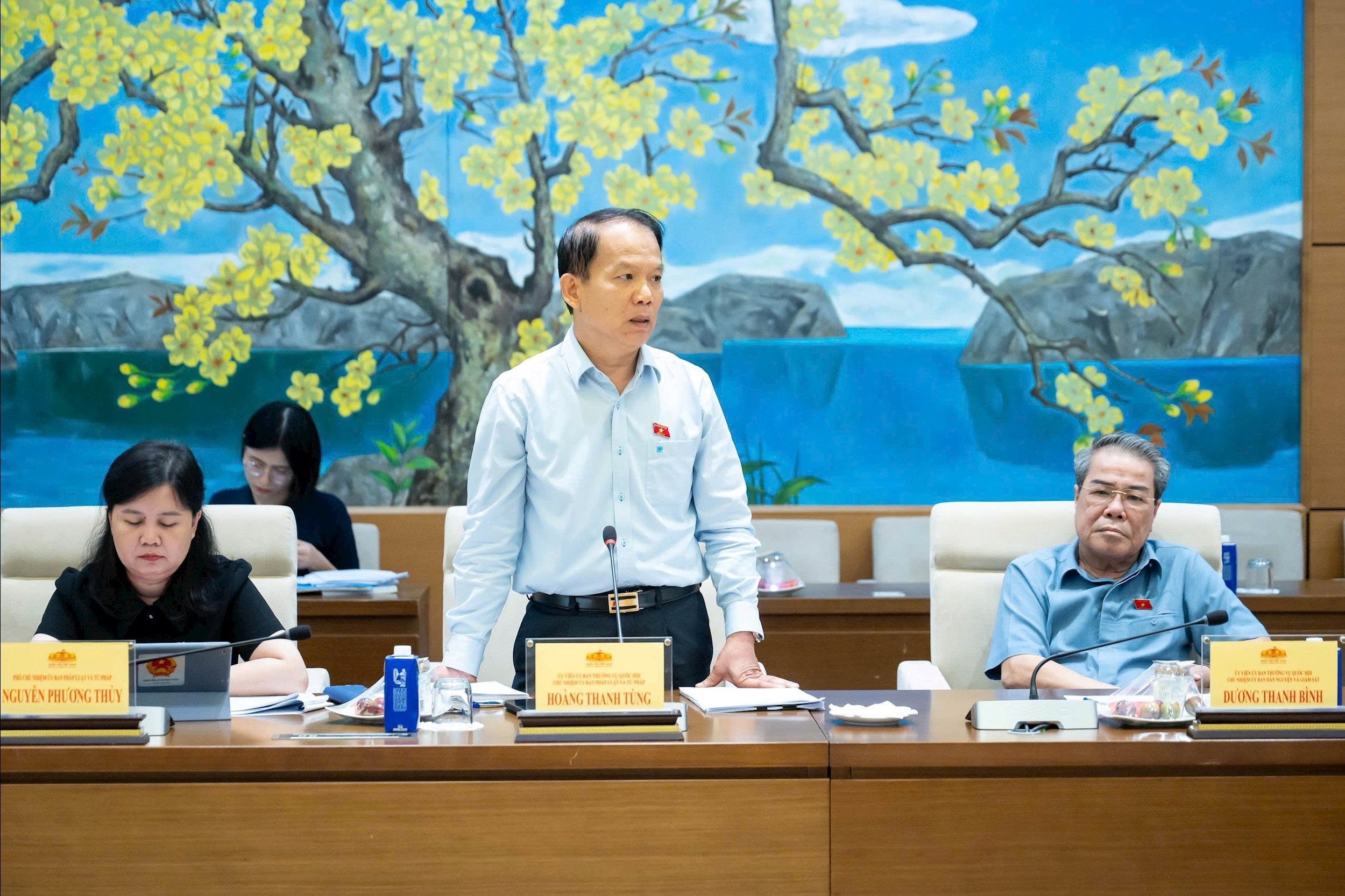 Chủ nhiệm Ủy ban Pháp luật và Tư pháp Hoàng Thanh Tùng phát biểu