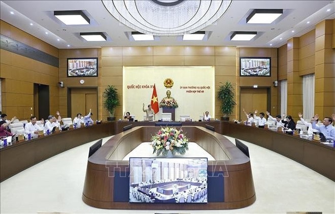 Standing Committee members present voting at the event. (Photo: VNA) 2-na-standing-committee-vna.jpg