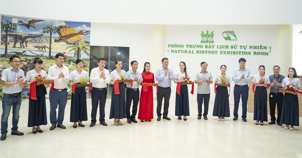 Khai trương Phòng trưng bày Lịch sử tự nhiên tại Phong Điền