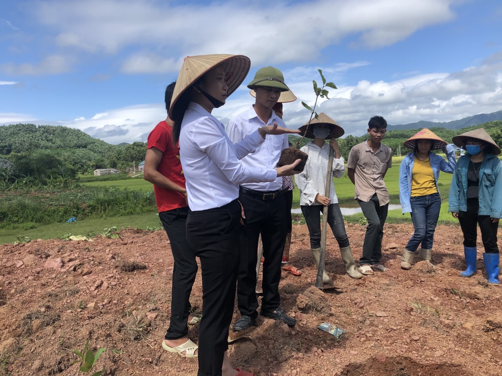 Học viên tham gia thực hành tại lớp nghề Trồng và chăm sóc cây ăn quả tại xã Quảng Lâm (huyện Đầm Hà).