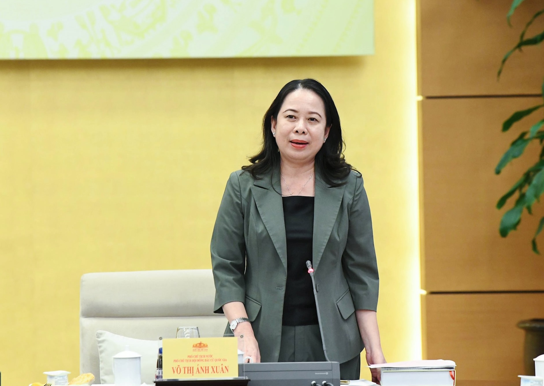 Ủy viên Trung ương Đảng, Phó Chủ tịch nước Võ Thị Ánh Xuân - Phó Chủ tịch Hội đồng Bầu cử quốc gia phát biểu. Ảnh: Lâm Hiển
