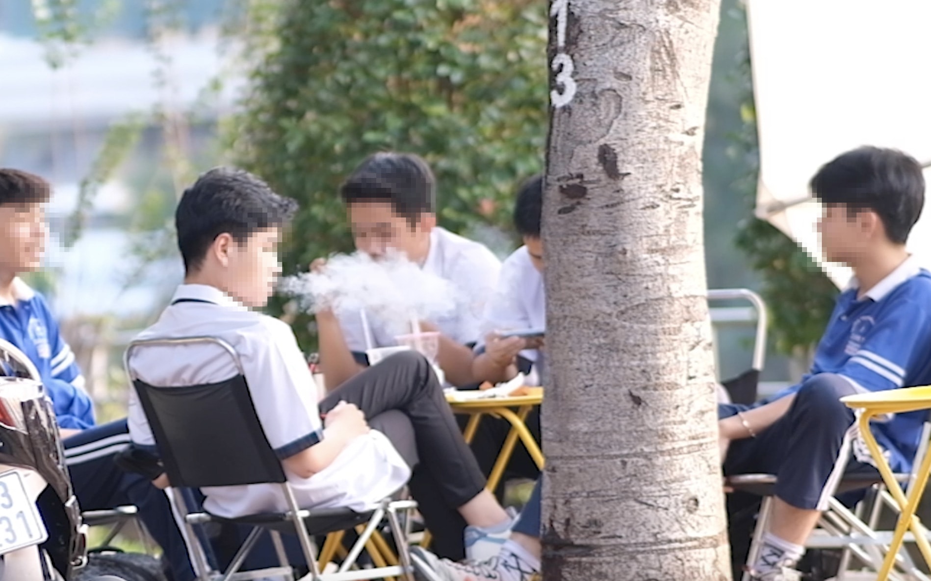 thuoc-la-1681956370949387228882-0-0-1186-1898-crop-16819570102171424491541.jpg