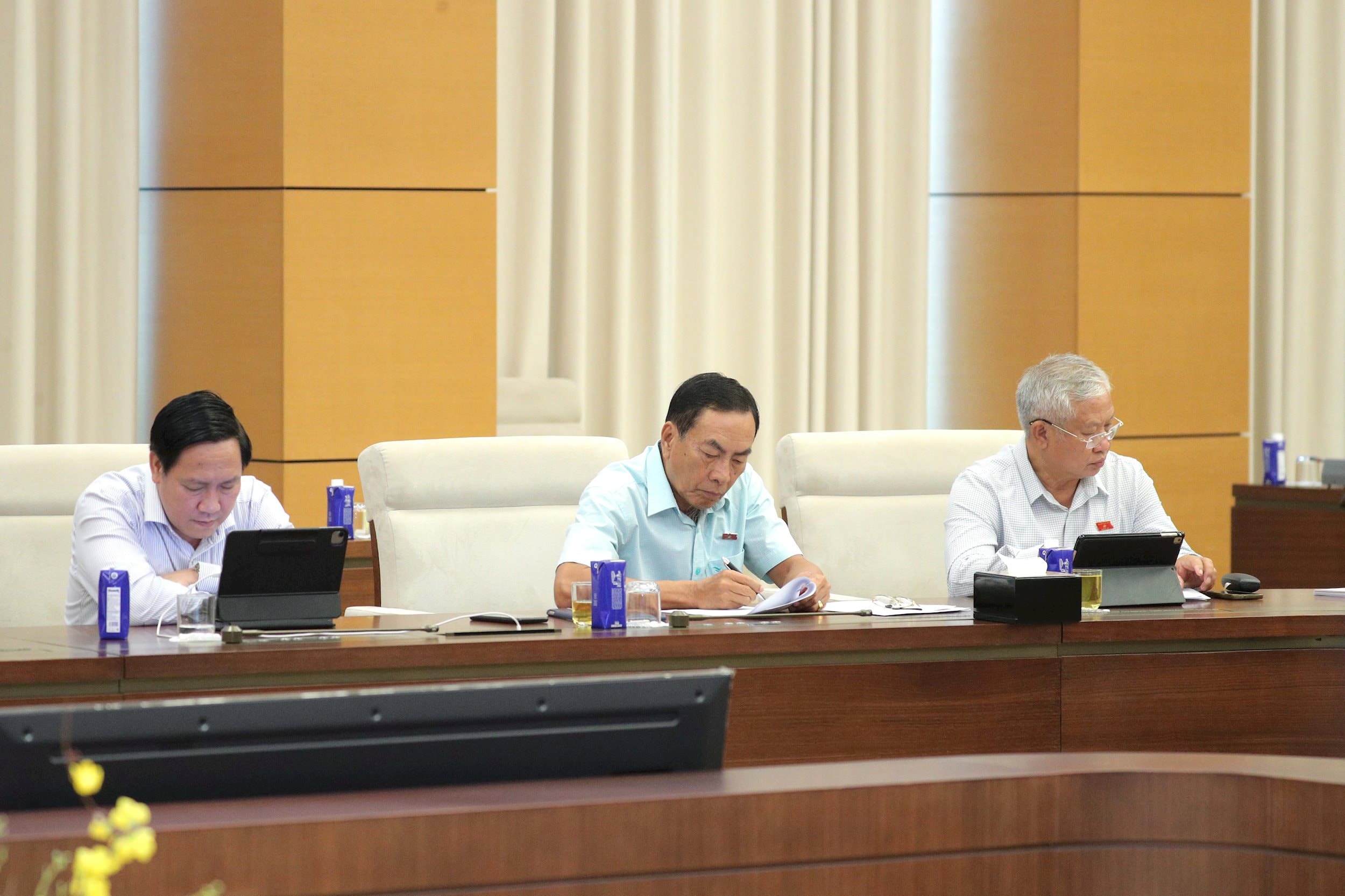 các đại biểu dự