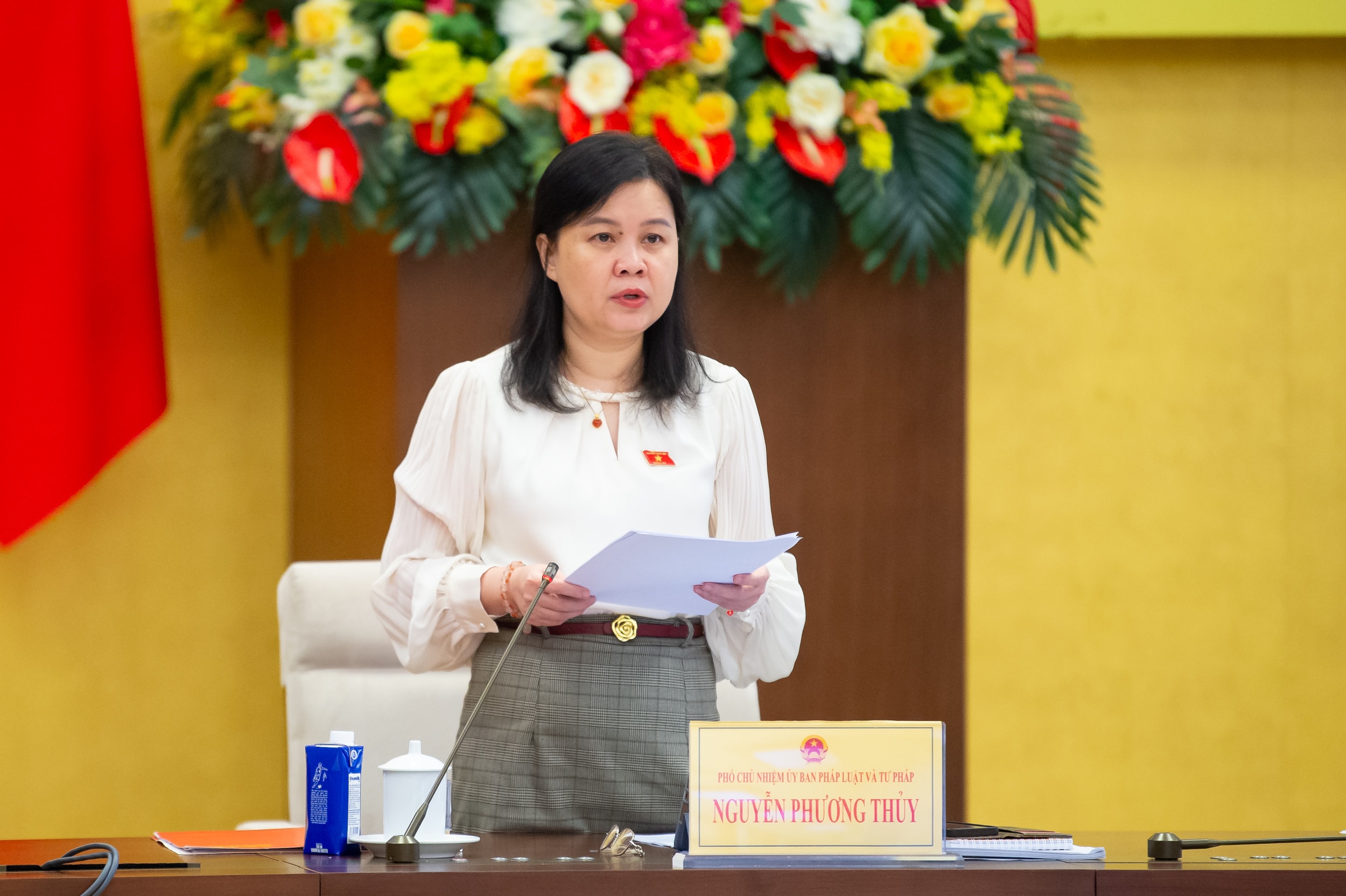 Phó Chủ nhiệm Ủy ban Pháp luật và Tư pháp Nguyễn Phương Thủy