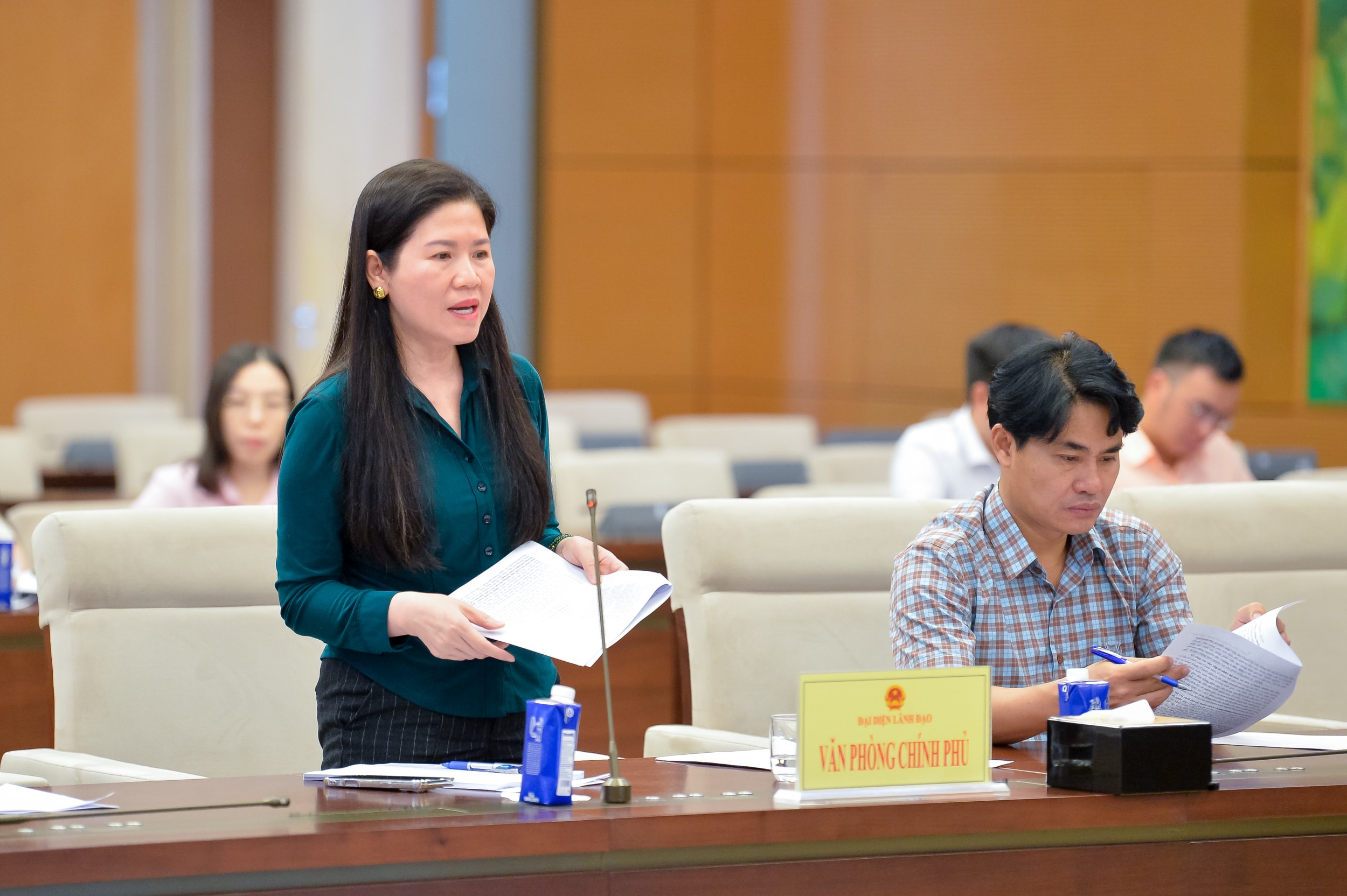Phó Chủ nhiệm Văn phòng Chính phủ Mai Thị Thu Vân