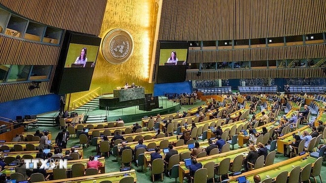A session of the United Nations General Assembly. (Photo: VNA) hop-c490hc490.jpg