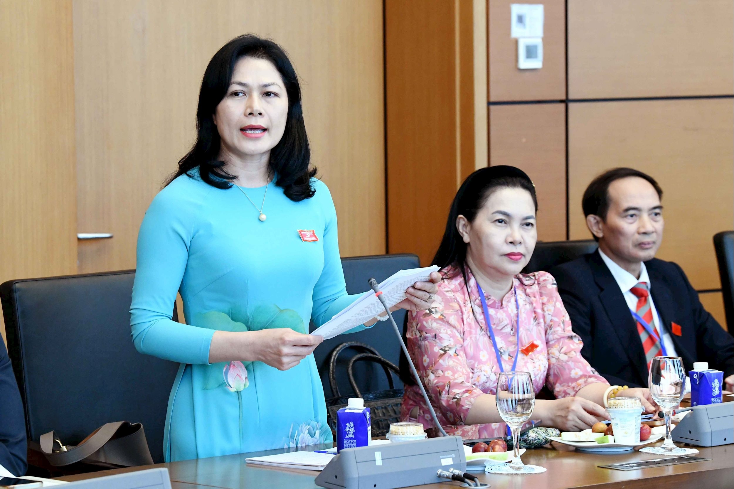 Stellvertretender Vorsitzender des Organisationskomitees der Nationalversammlung Vu Thi Lan Anh.jpg