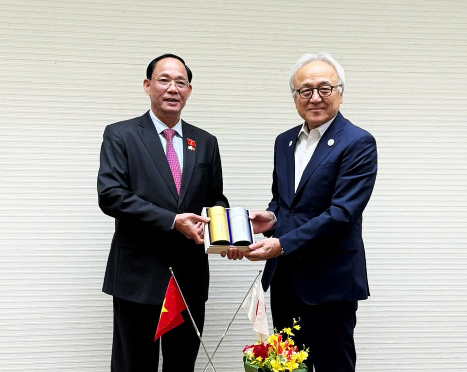 p2.jpg