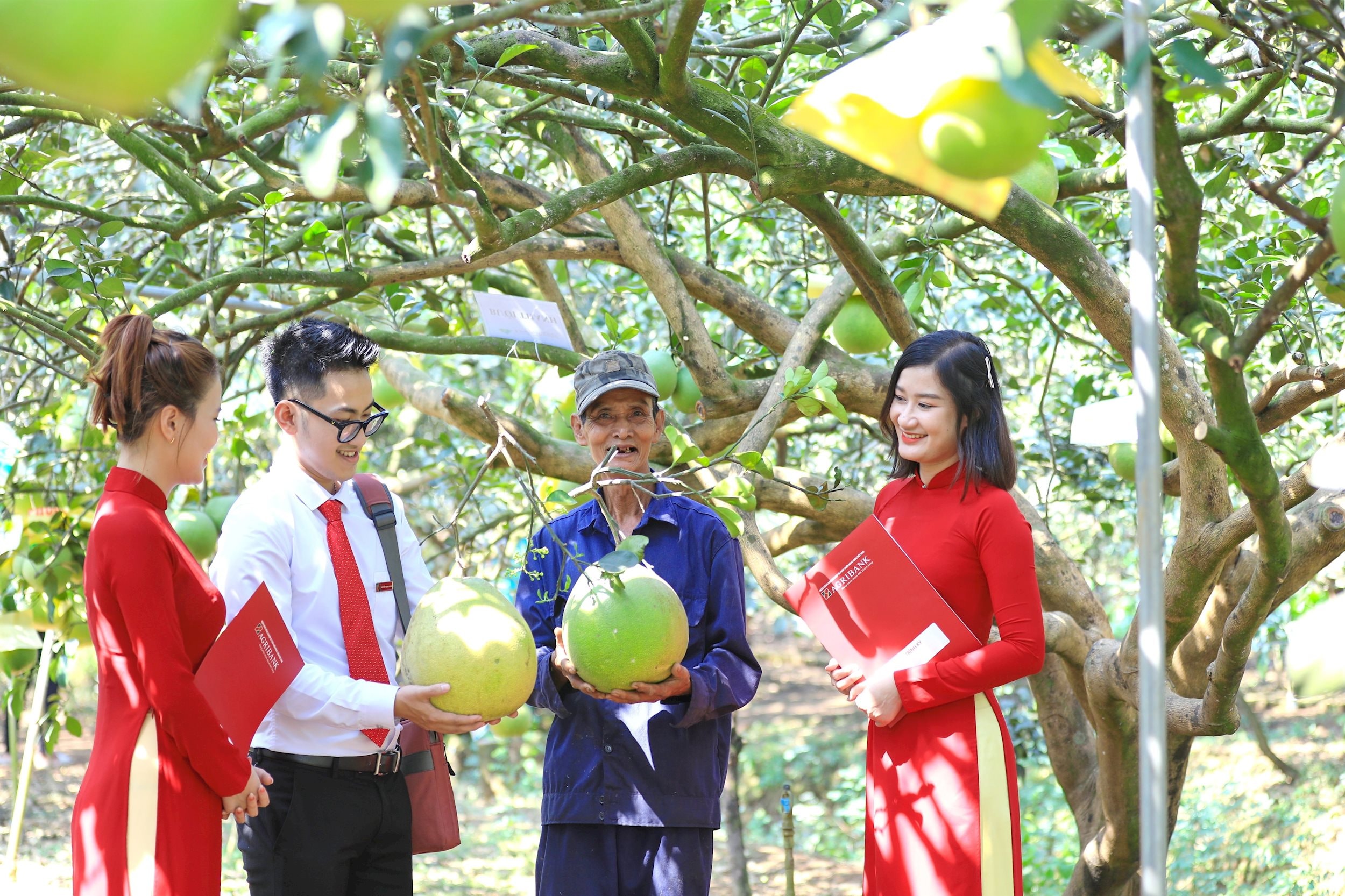 Agribank luôn ưu tiên đầu tư cho các mô hình kinh tế xanh