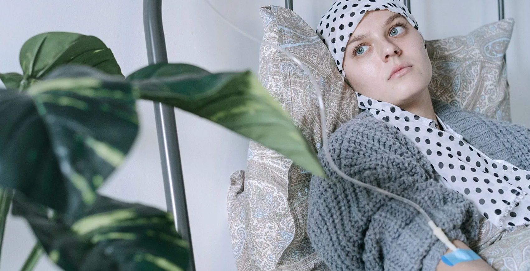 Ảnh chụp Màn hình 2025-09-26 lúc 23.22.06