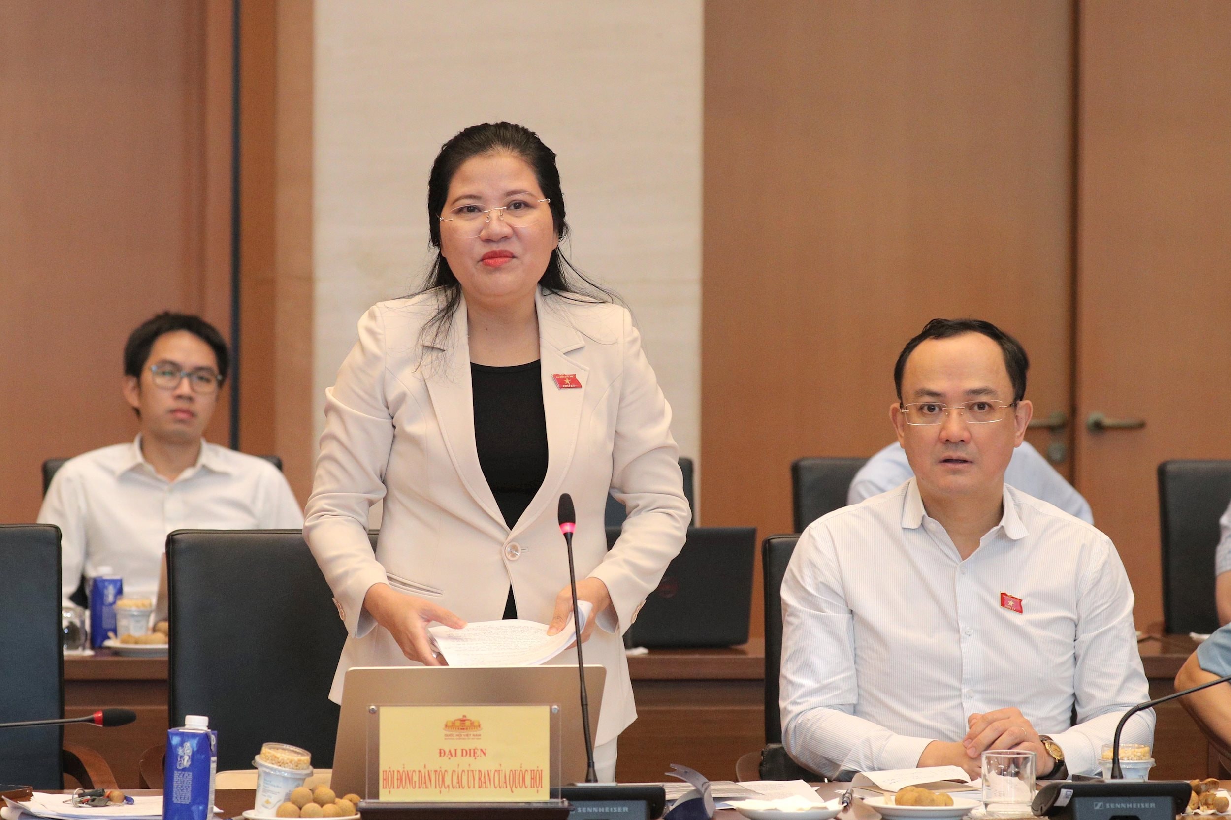 Phó Chủ tịch Hội đồng Dân tộc Đinh Thị Phương Lan