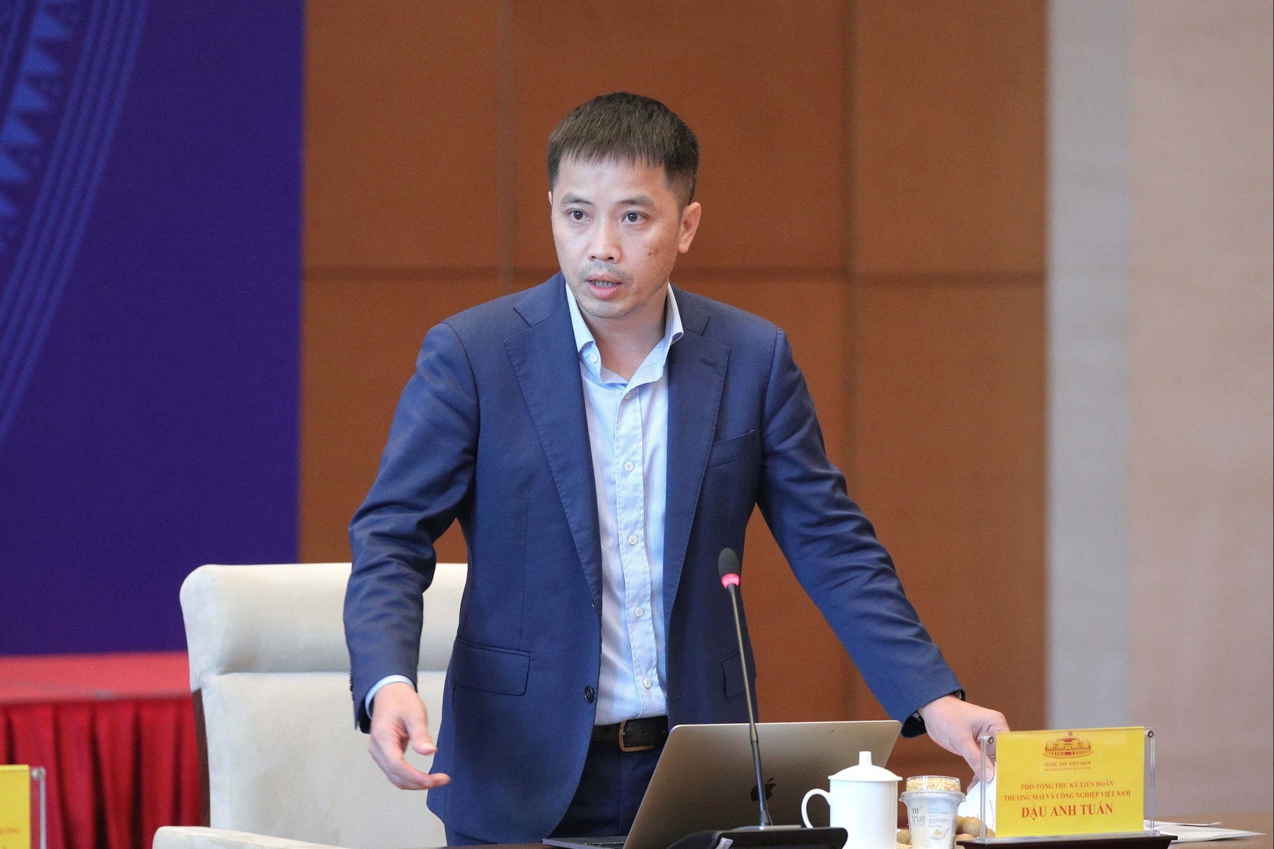 Phó Tổng Thư ký VCCI Đậu Anh Tuấn 2