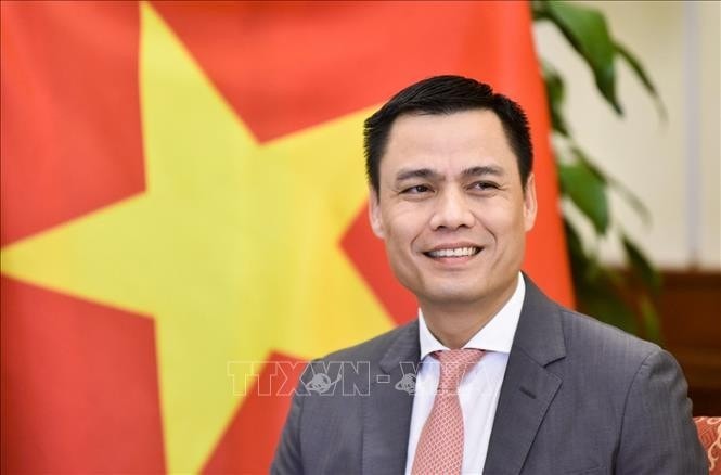 Deputy Minister of Foreign Affairs Dang Hoang Giang (Photo: VNA)