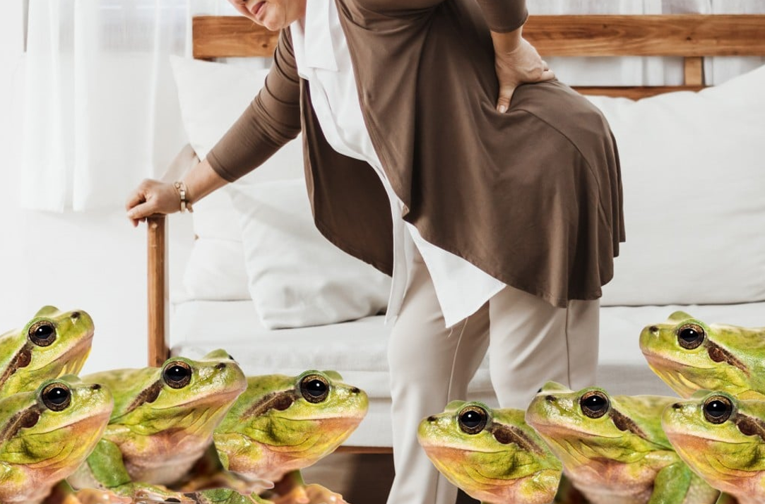 Ảnh chụp màn hình 2025-10-08 175730