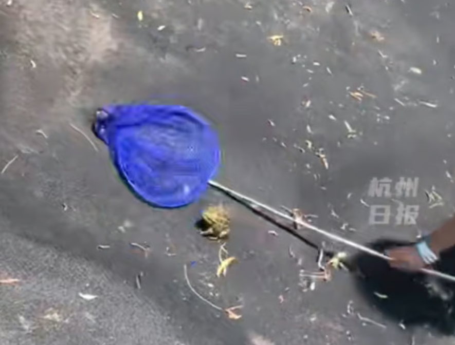 Ảnh chụp màn hình 2025-10-08 175843