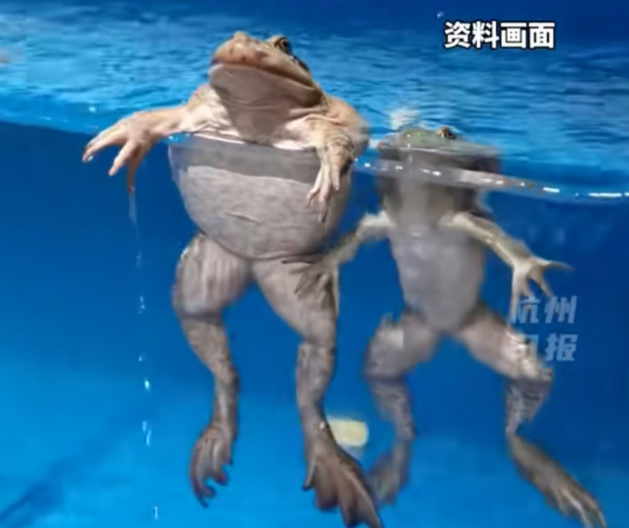 Ảnh chụp màn hình 2025-10-08 175854