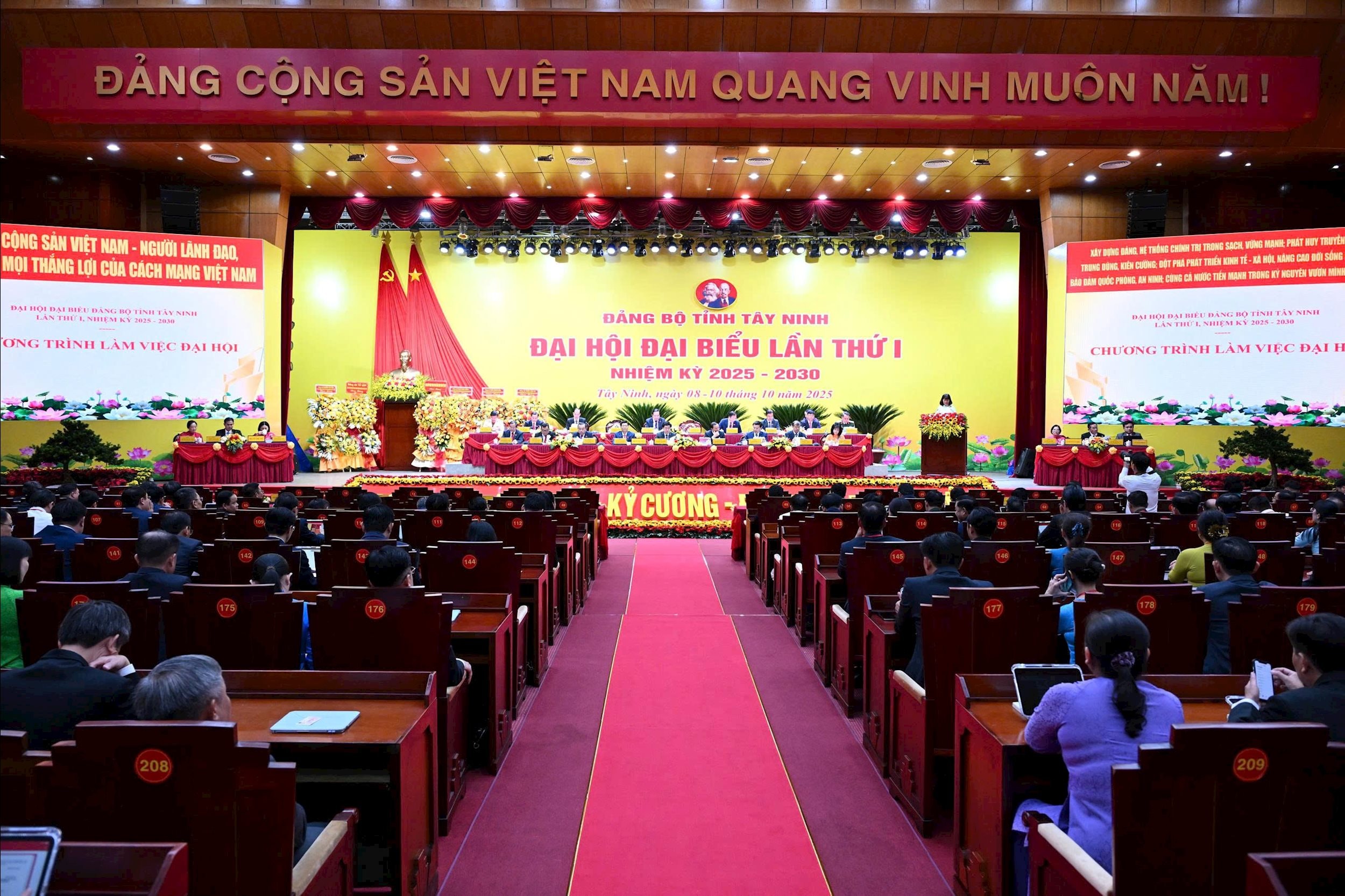 tn0.jpg