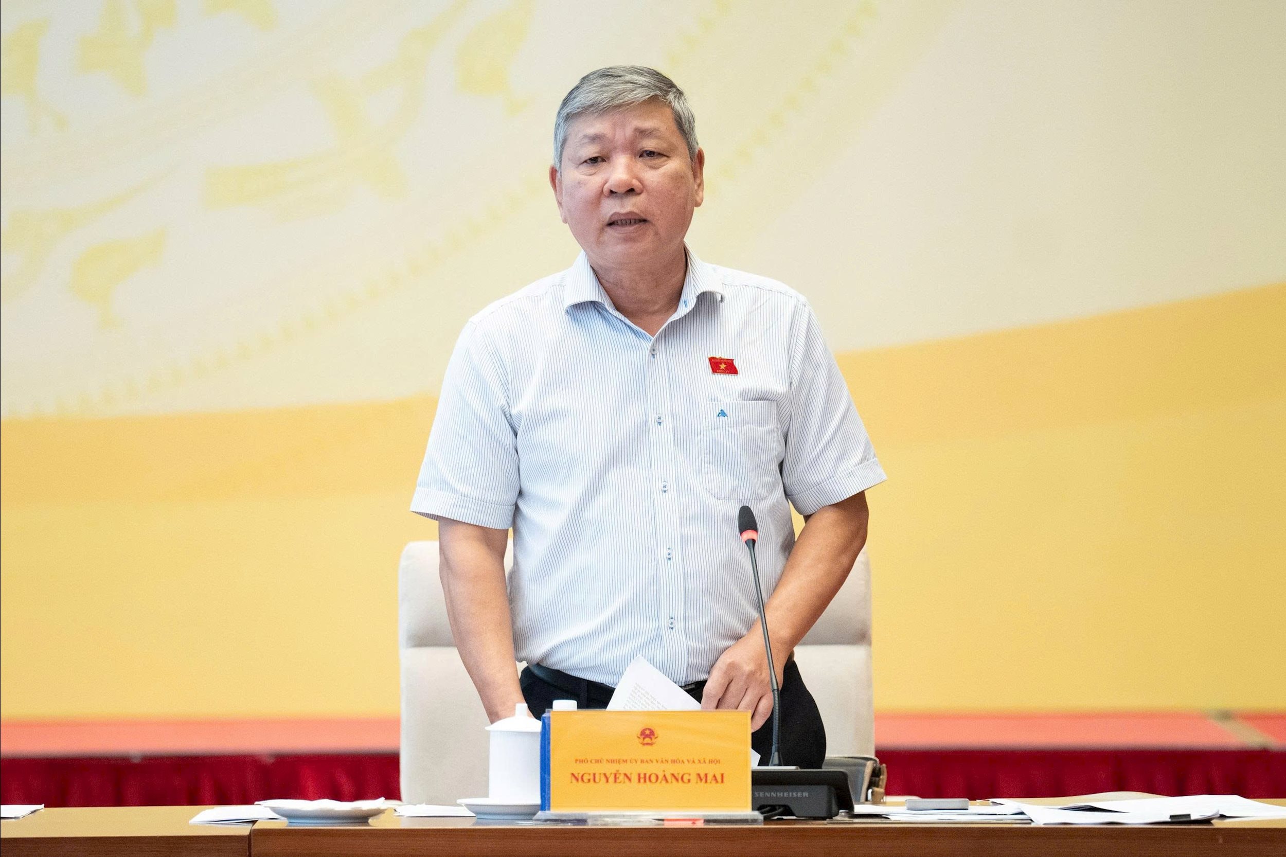 Vice-président de la commission de la culture et des affaires sociales, Nguyen Hoang Mai