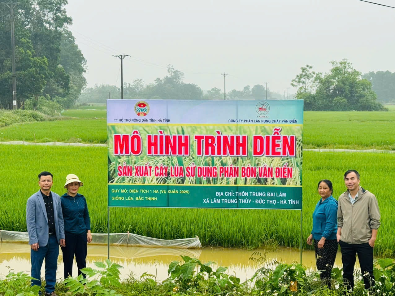 Model demonstrasi produksi padi menggunakan pupuk Van Dien