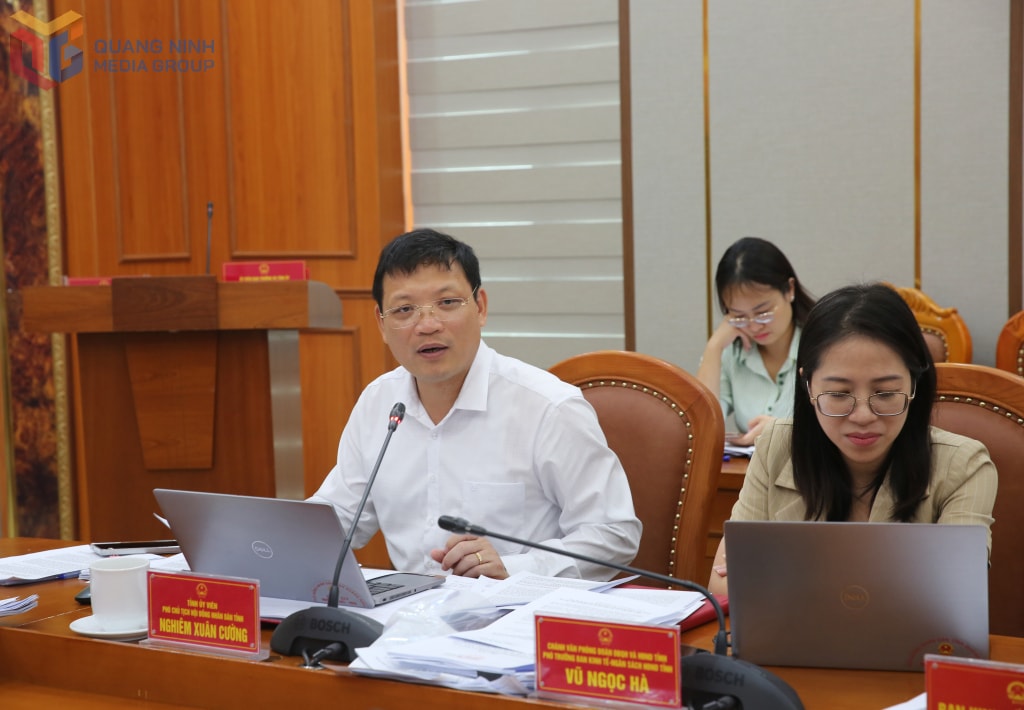 Đồng chí Nghiêm Xuân Cường, Phó Chủ tịch HĐND tỉnh phát biểu tại cuộc họp.