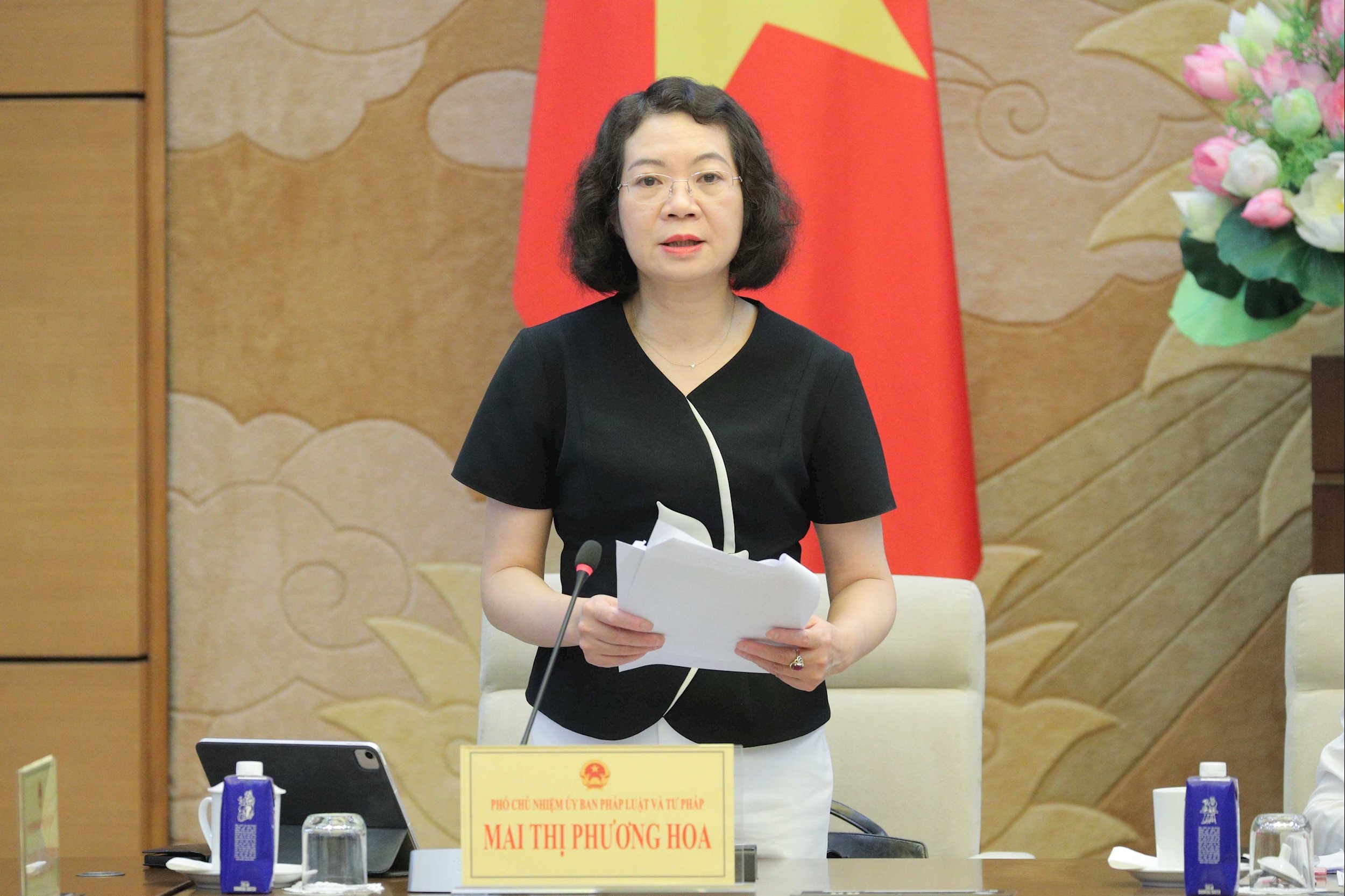 Phó Chủ nhiệm Ủy ban Pháp luật và Tư pháp Mai Thị Phương Hoa 1