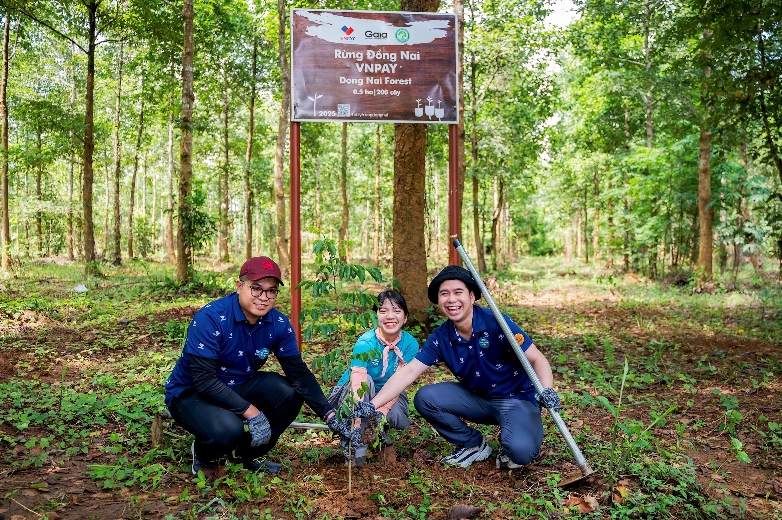 VNPAY noi lam viec tot nhat3