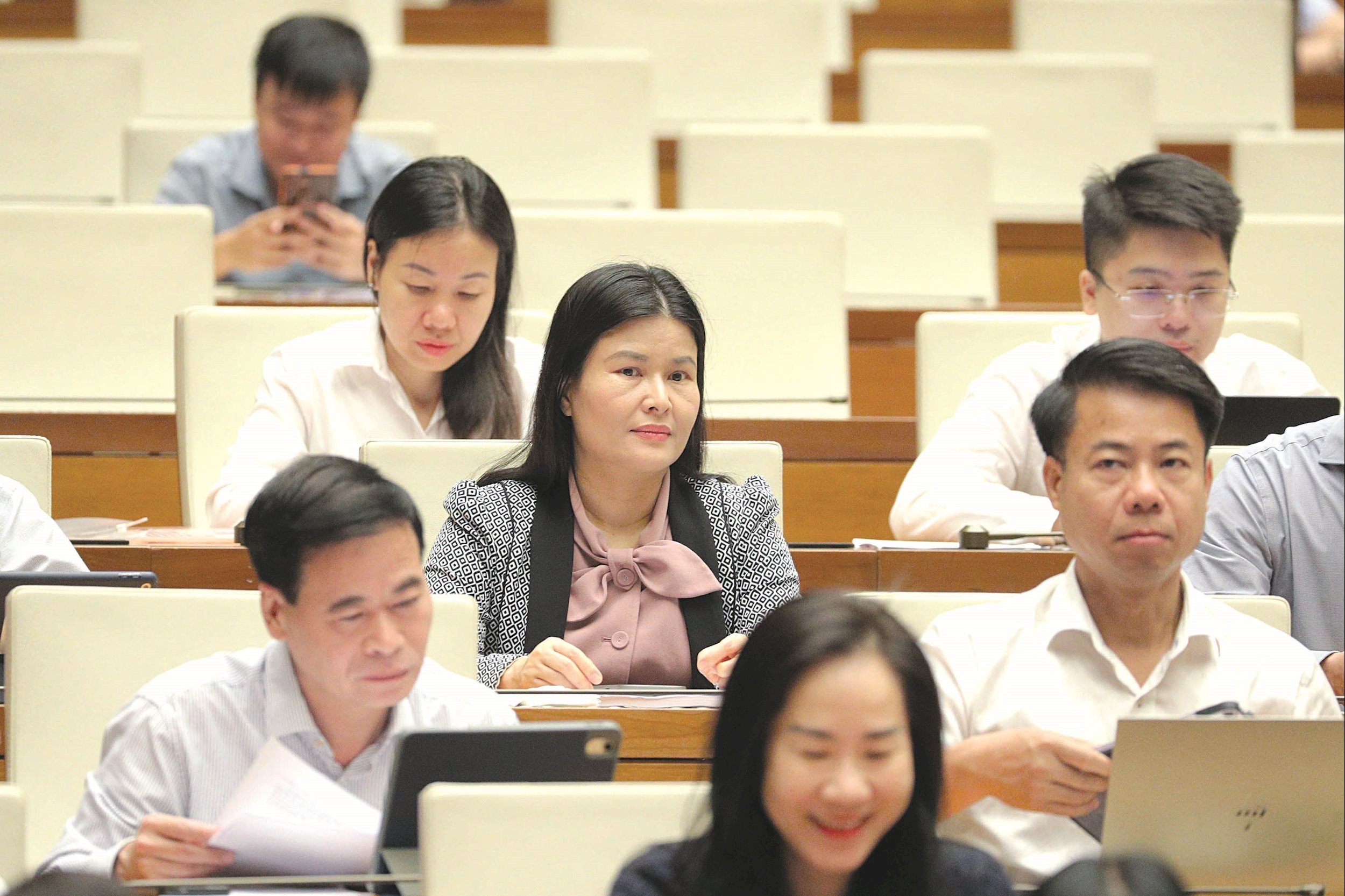 Các đại biểu dự hội nghị 1