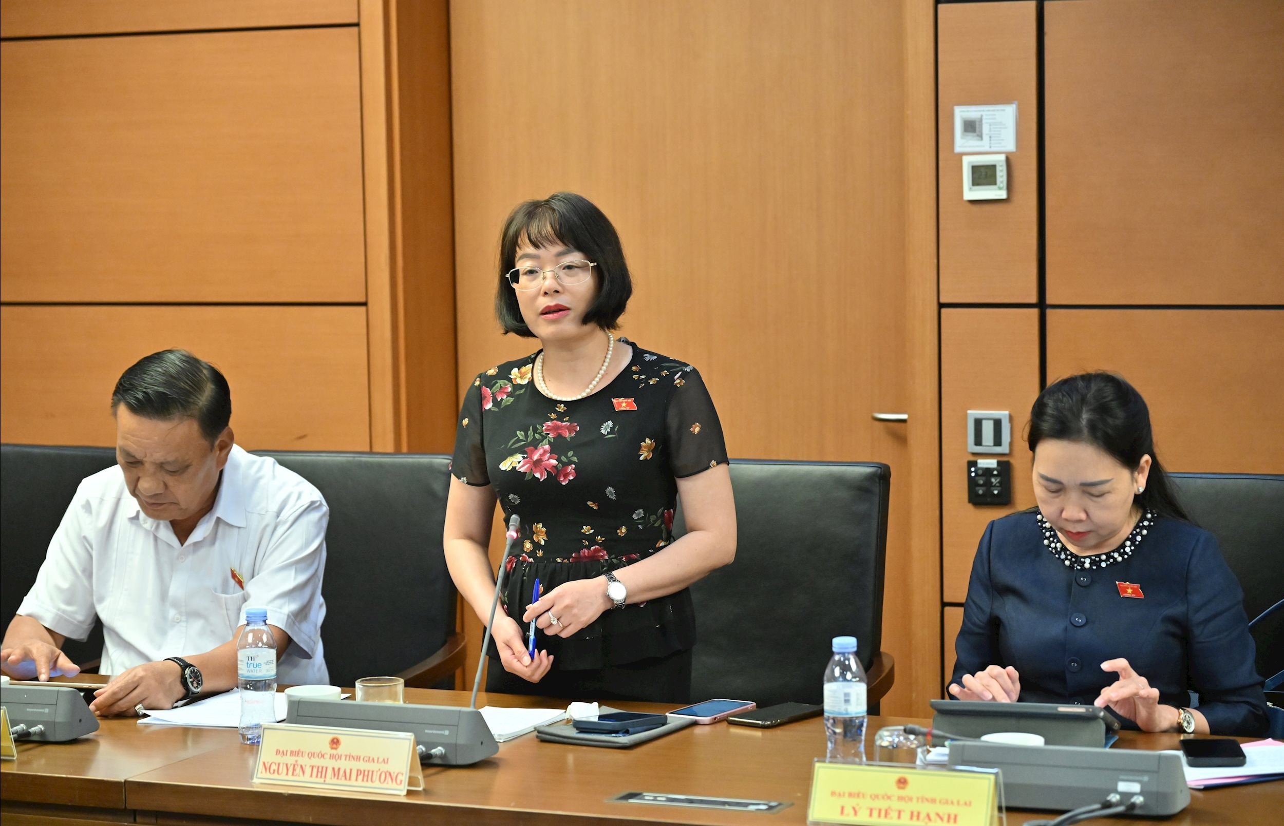 Nguyễn Thị Mai Phương (Gia Lai)