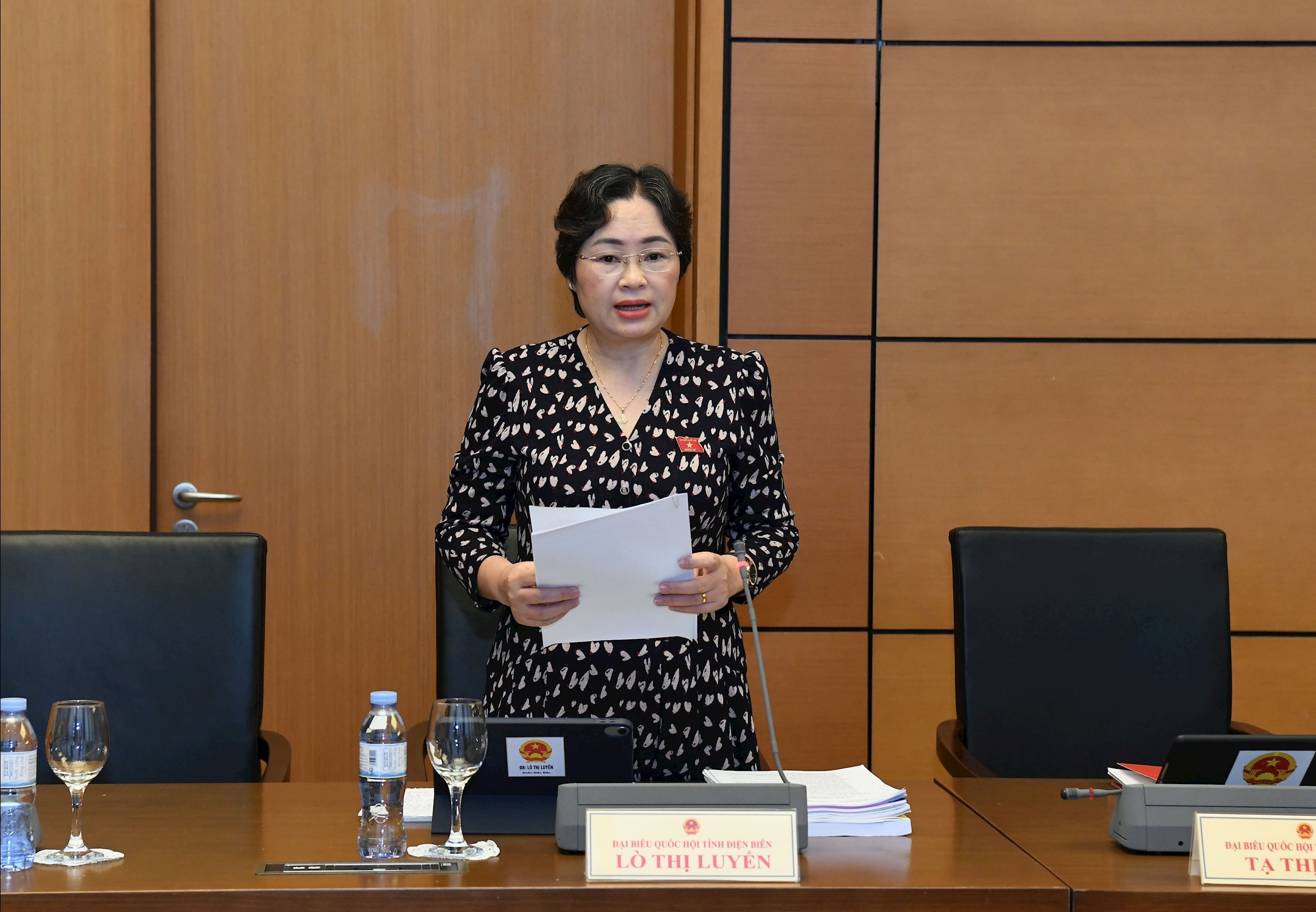 Phó Trưởng Đoàn ĐBQH tỉnh Điện Biên Lò Thị Luyến.1