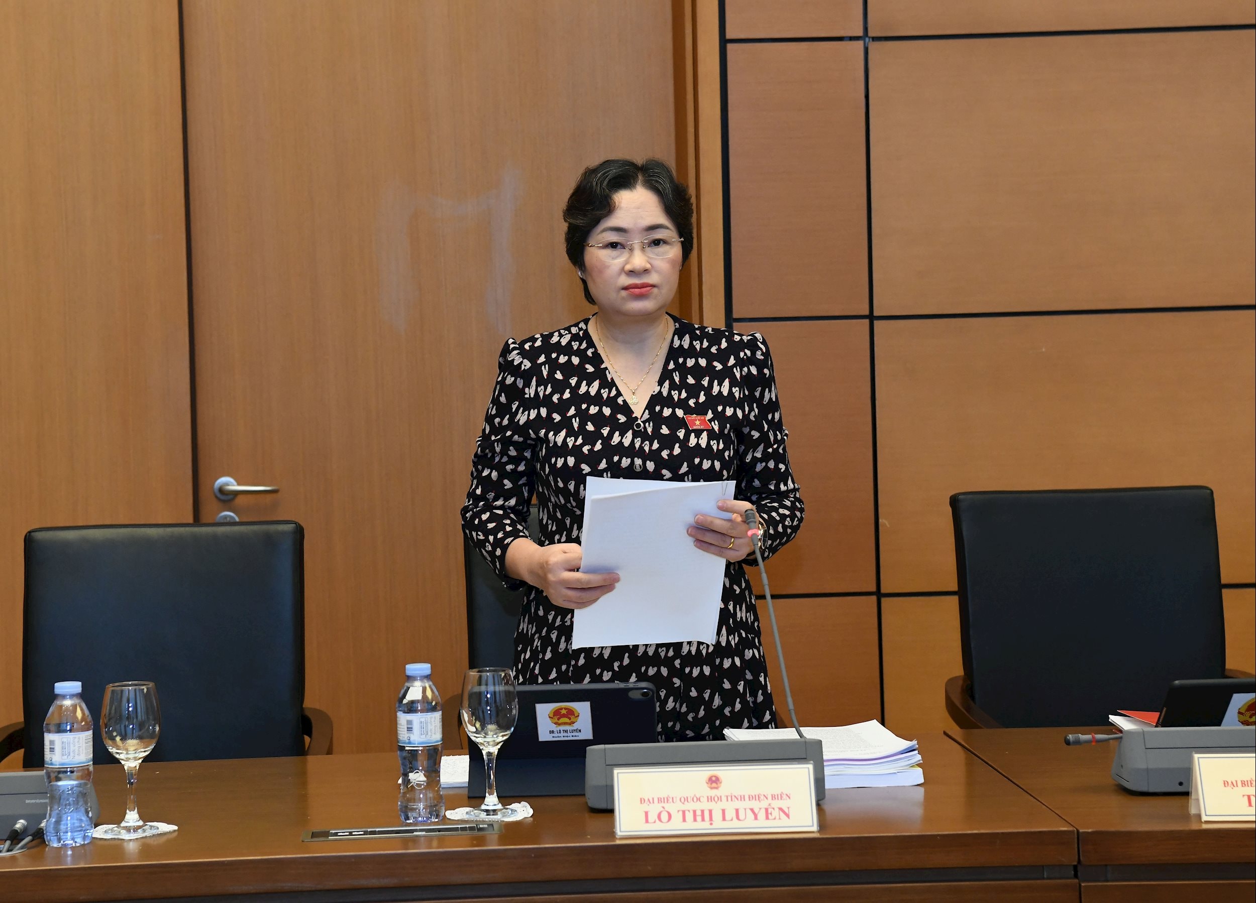 Phó Trưởng Đoàn ĐBQH tỉnh Điện Biên Lò Thị Luyến.2