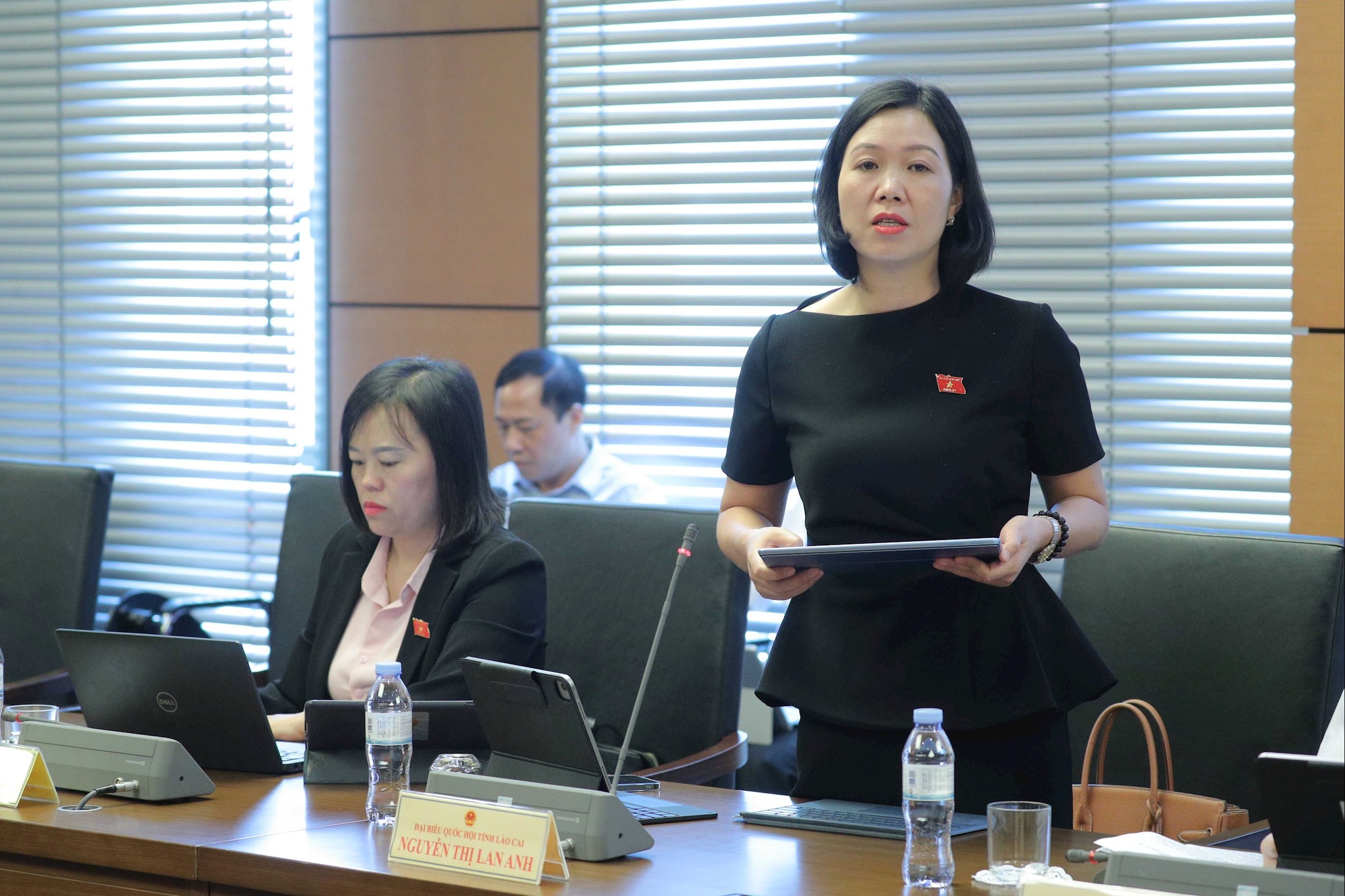 Deputatul Adunării Naționale Nguyen Thi Lan Anh (Lao Cai)
