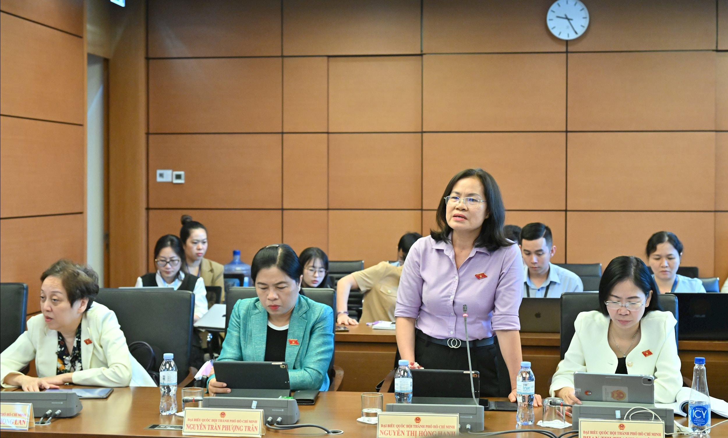 Nguyễn Thị Hồng Hạnh - TP Hồ Chí Minh