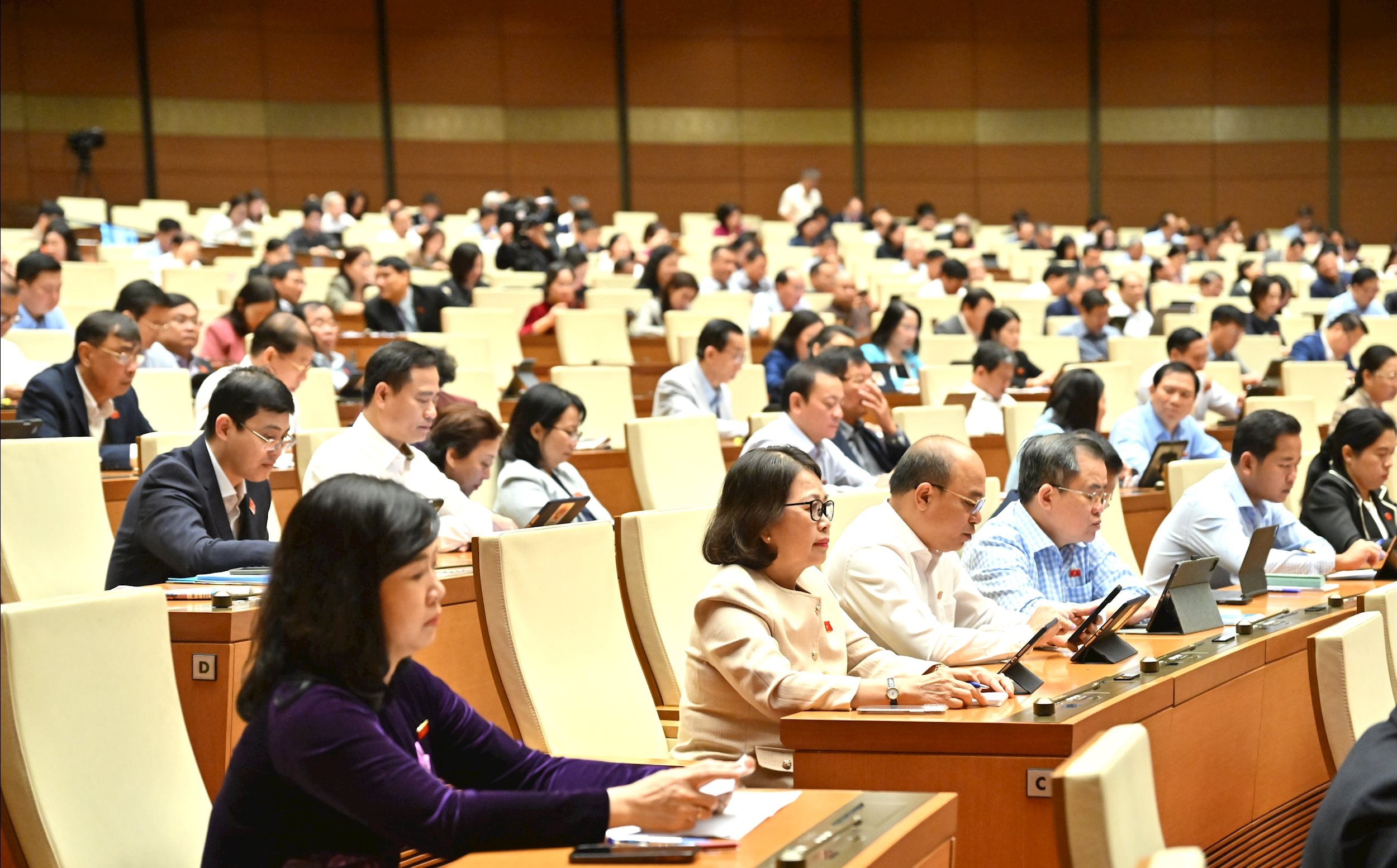 Các đại biểu tại phiên họpVQK_1819