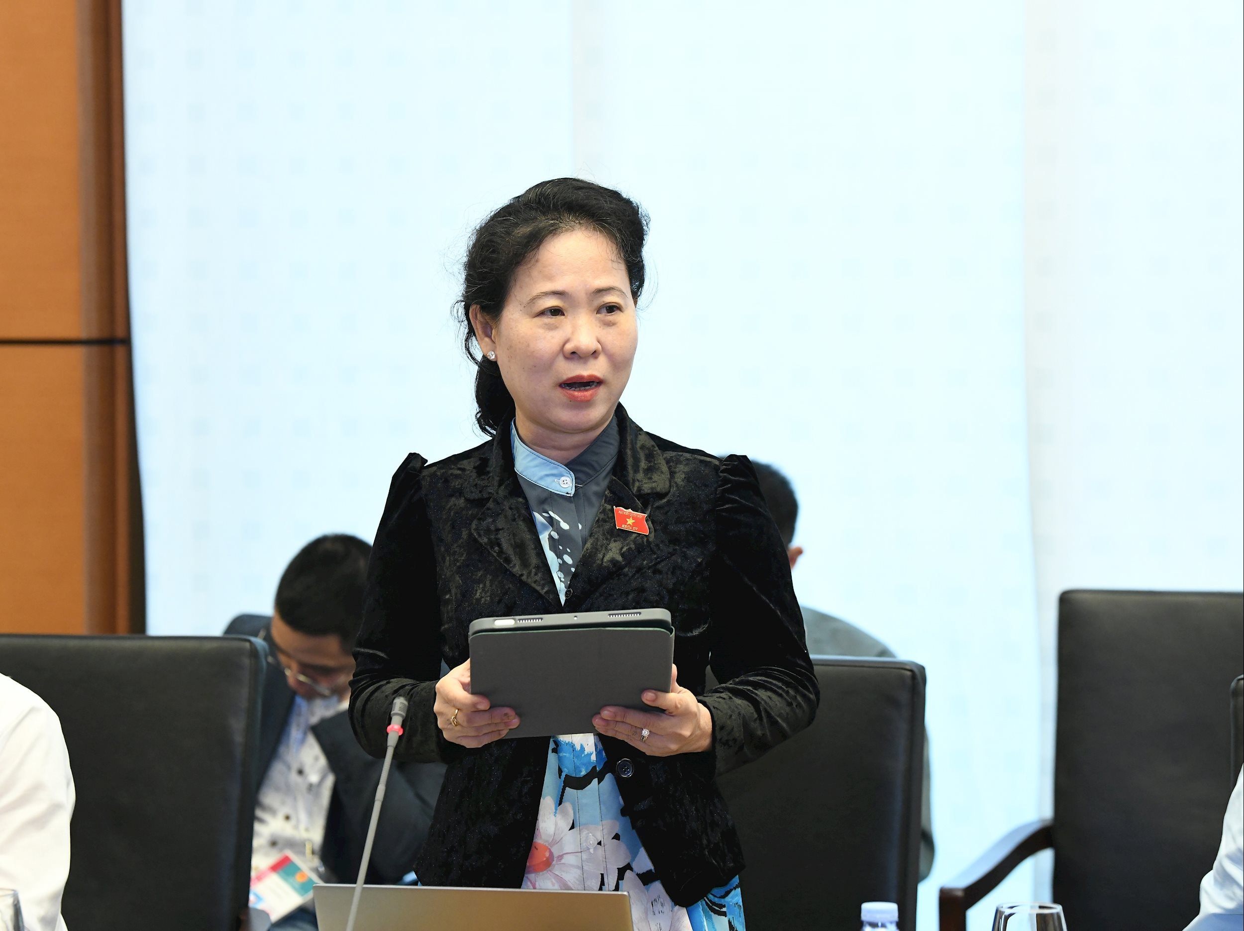 ĐB Tô Ái Vang, Đoàn ĐBQH Thành phố Cần Thơ phát biểu.2