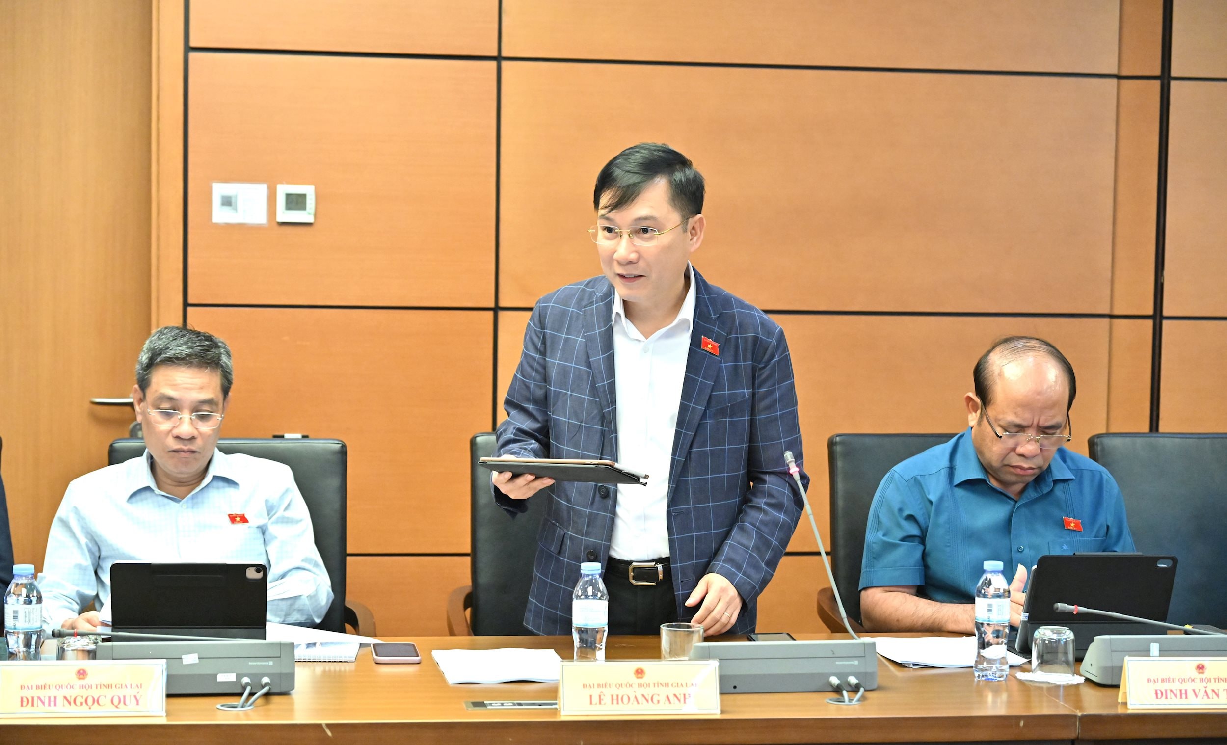 ĐBQH Lê Hoàng Anh (Gia Lai)