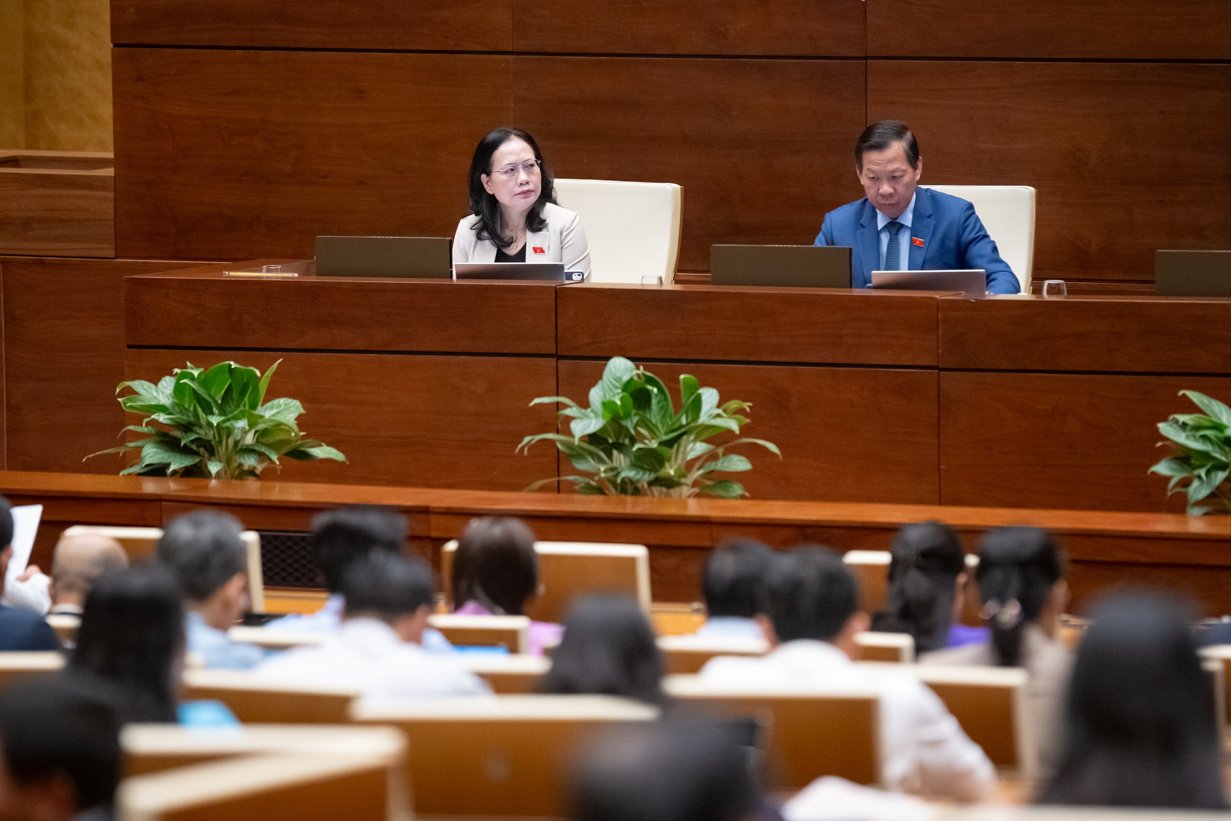 ĐBQH tham dự phie