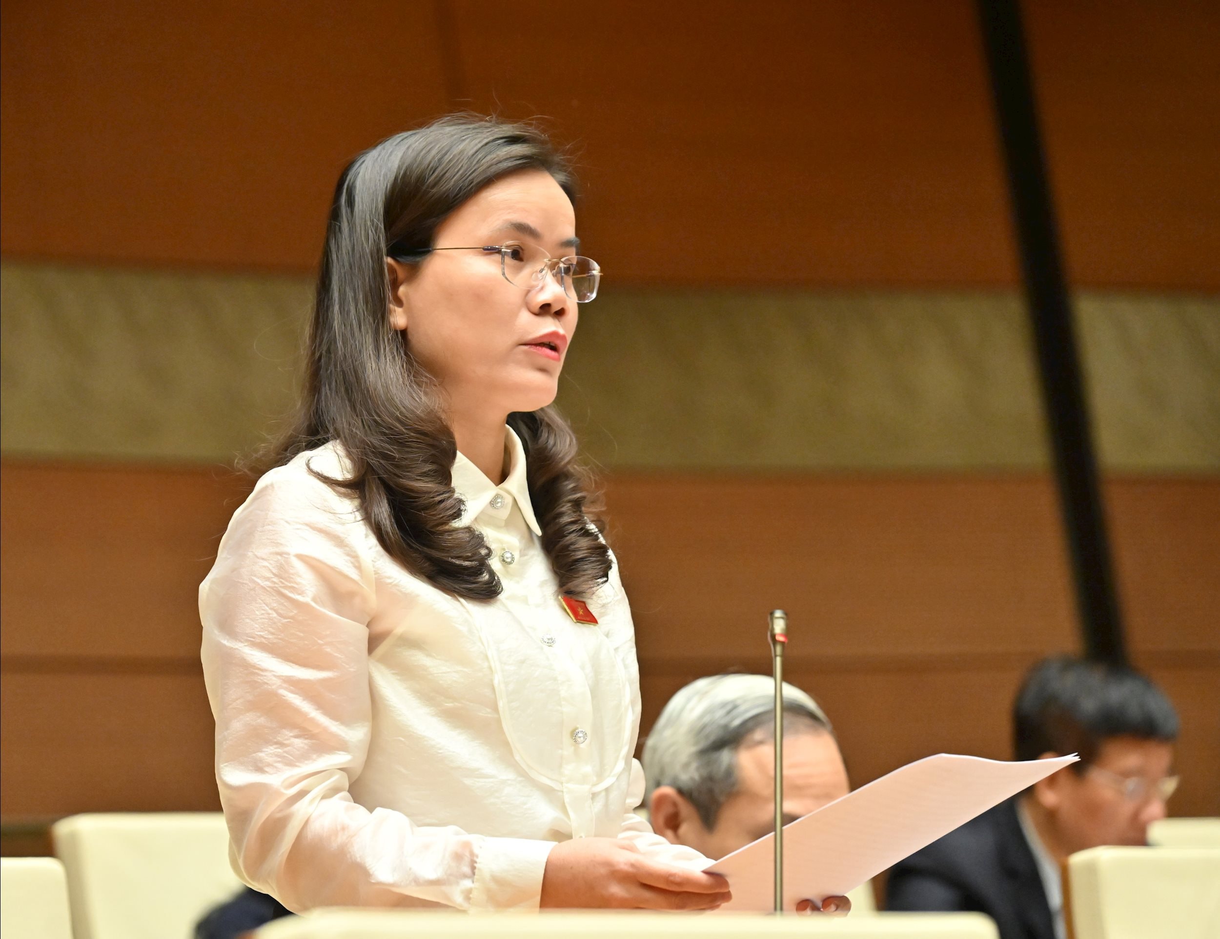 Delegát Národního shromáždění Vu Hong Luyen (Hung Yen)