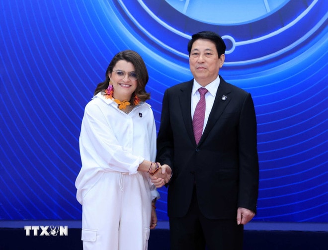 ttxvn-chu-tich-nuoc-luong-cuong-don-cac-truong-doan-du-le-mo-ky-cong-uoc-ha-noi14.jpg