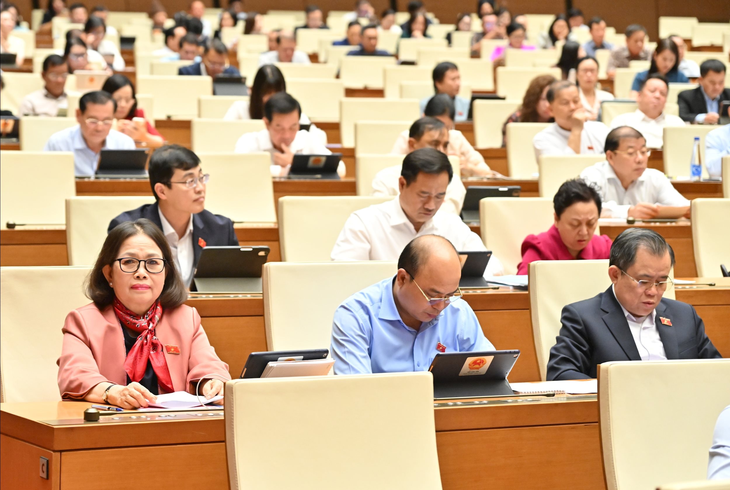 Các đại biểu tại phiên họpVQK_2836