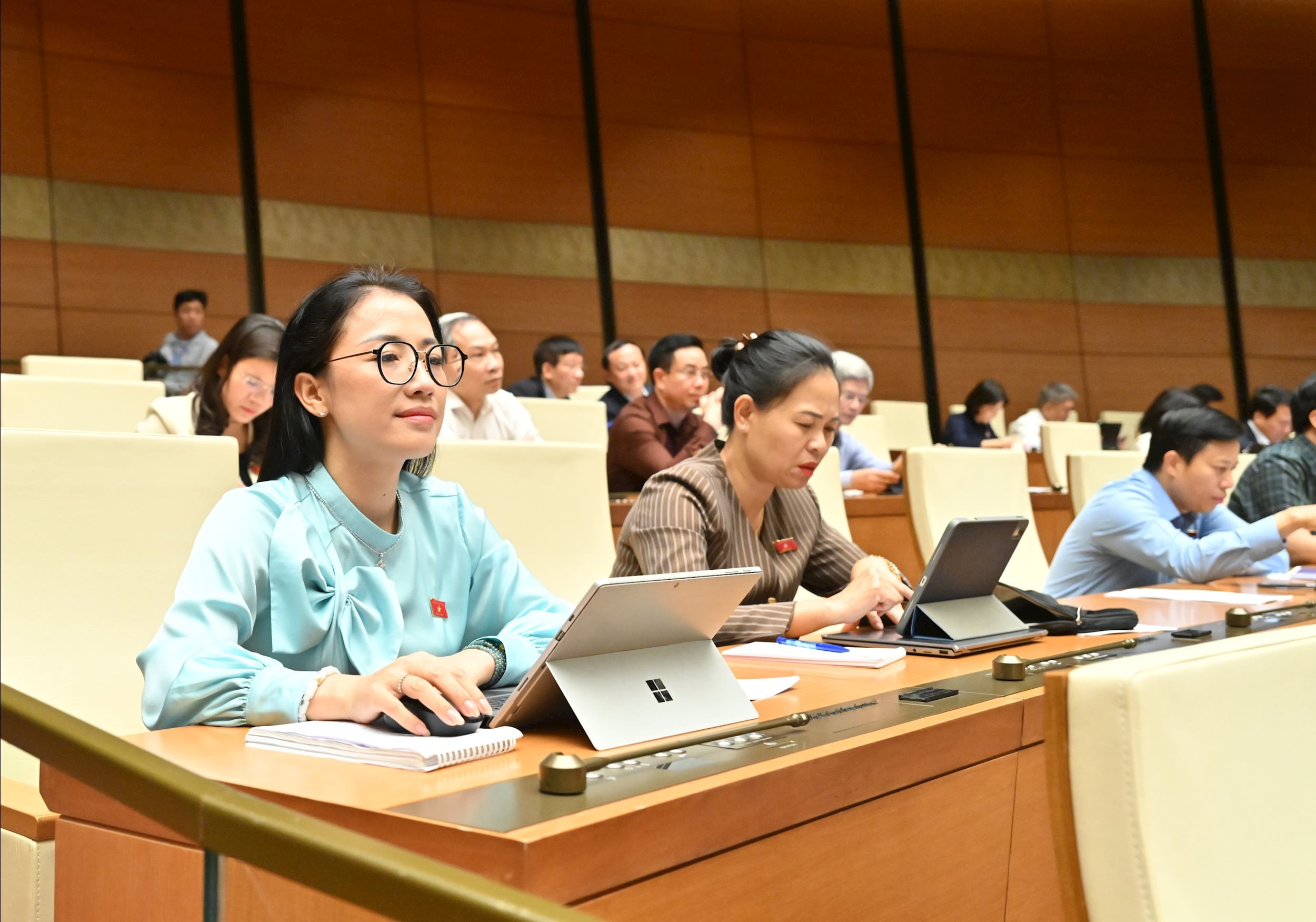 Các đại biểu tại phiên họpVQK_2841