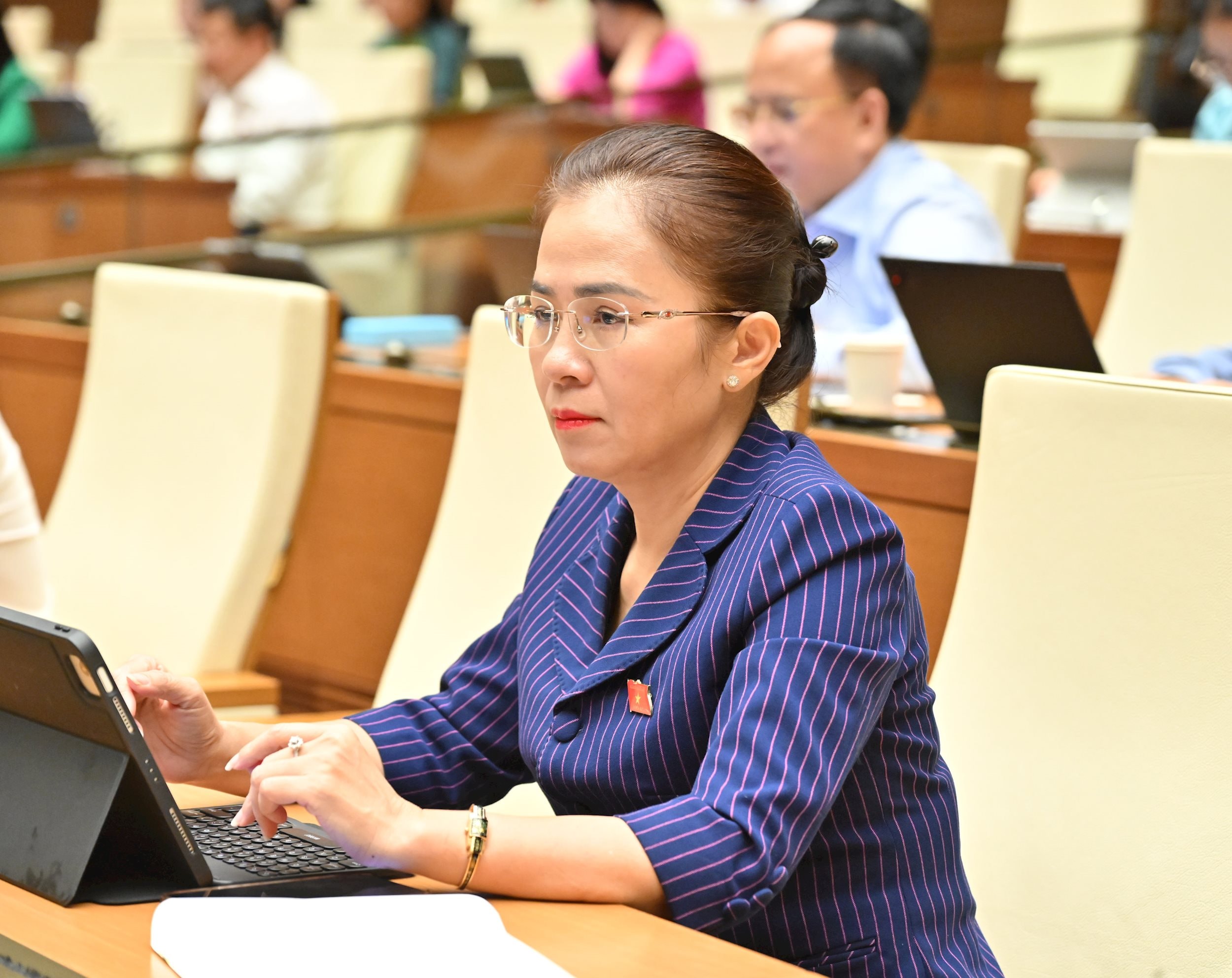 Các đại biểu tại phiên họpVQK_2858