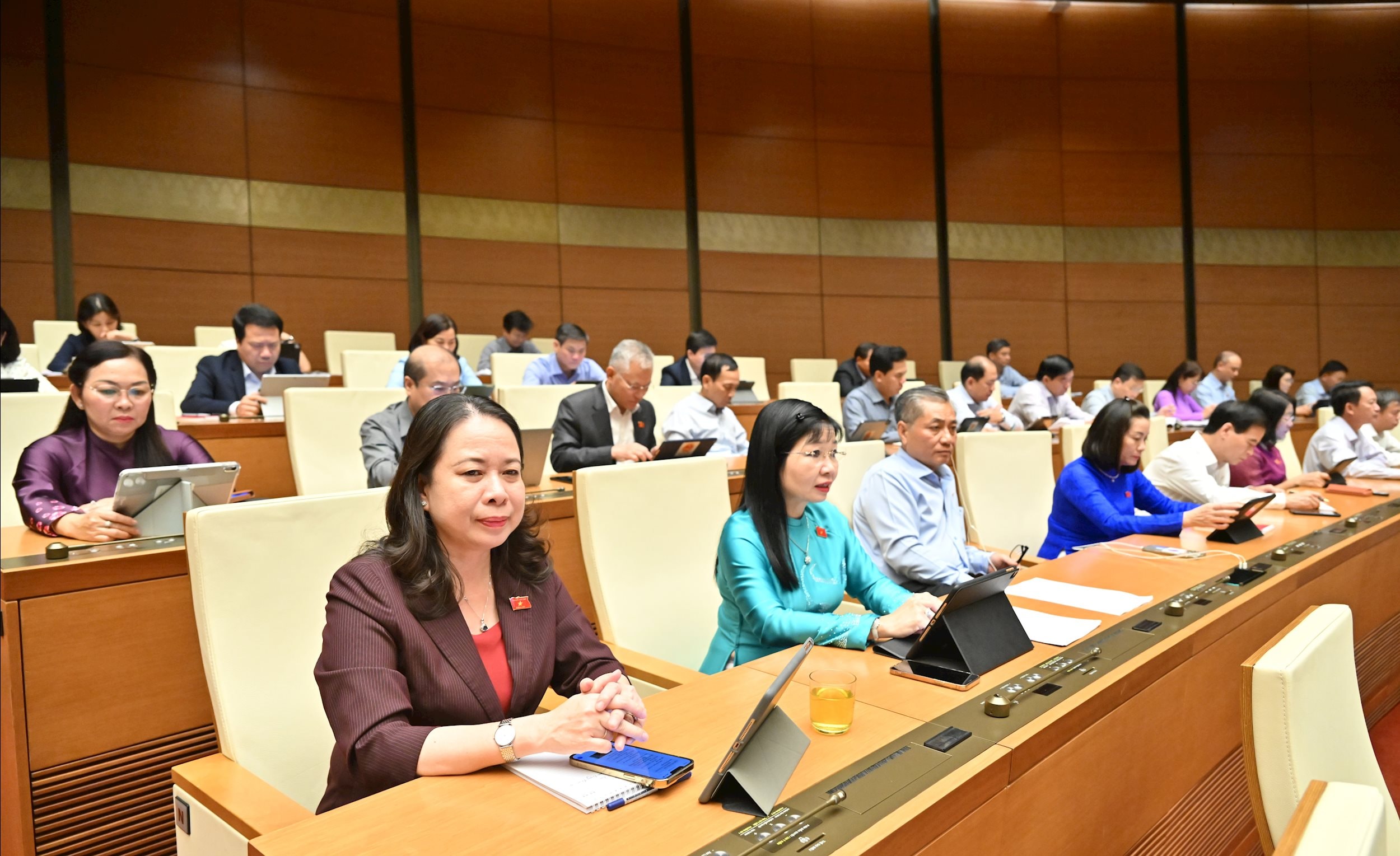 Các đại biểu tại phiên họpVQK_2876