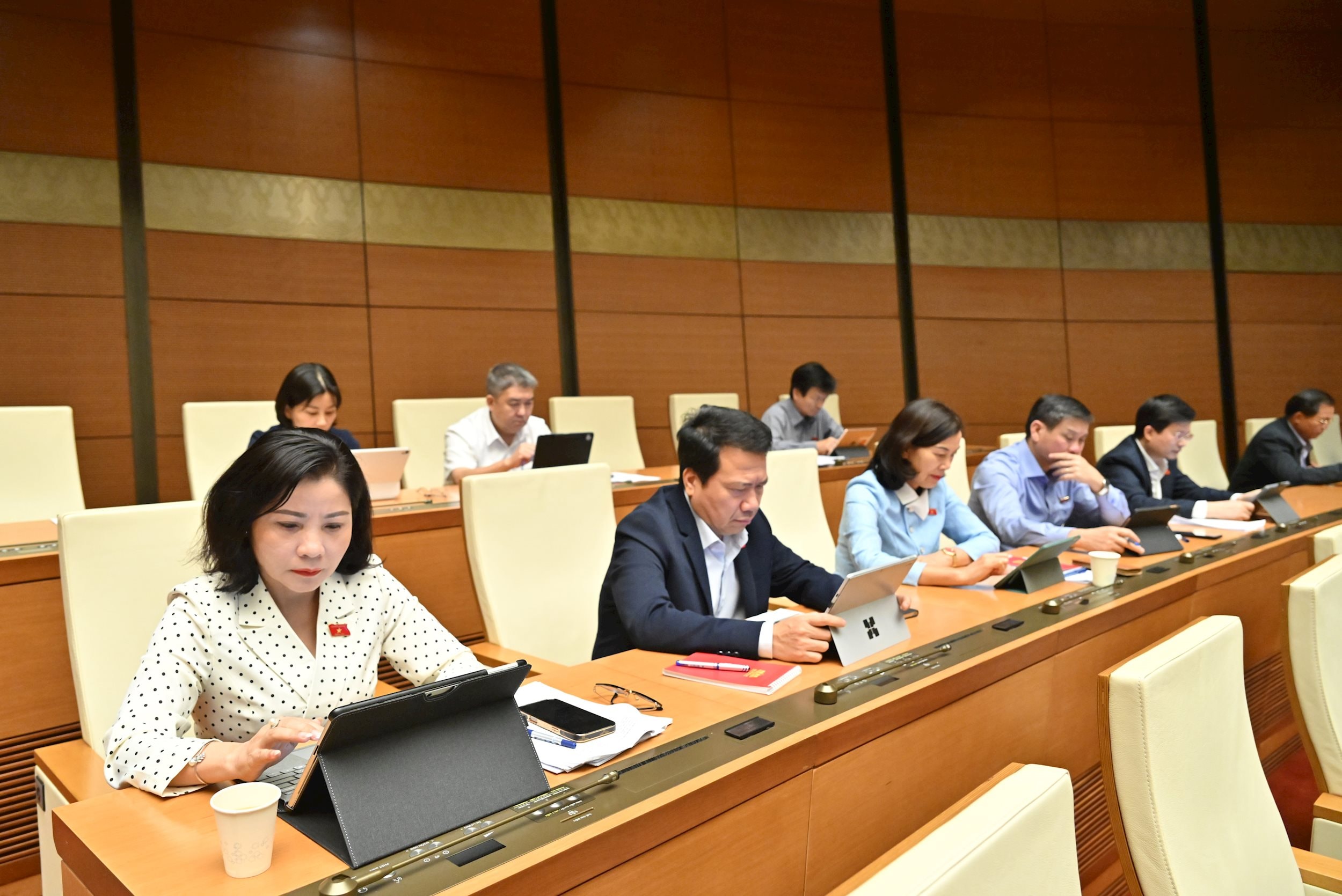 Các đại biểu tại phiên họpVQK_2881