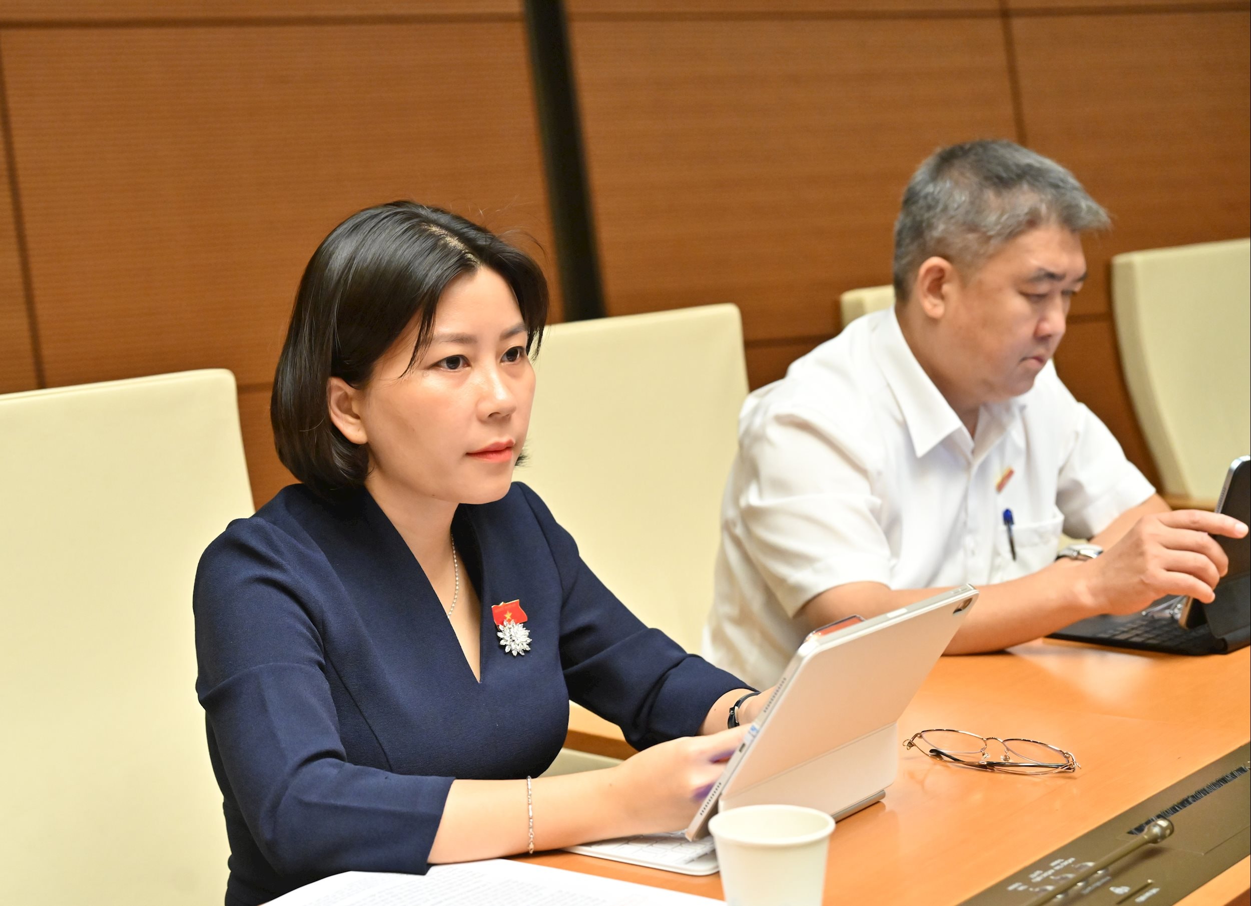 Các đại biểu tại phiên họpVQK_2888