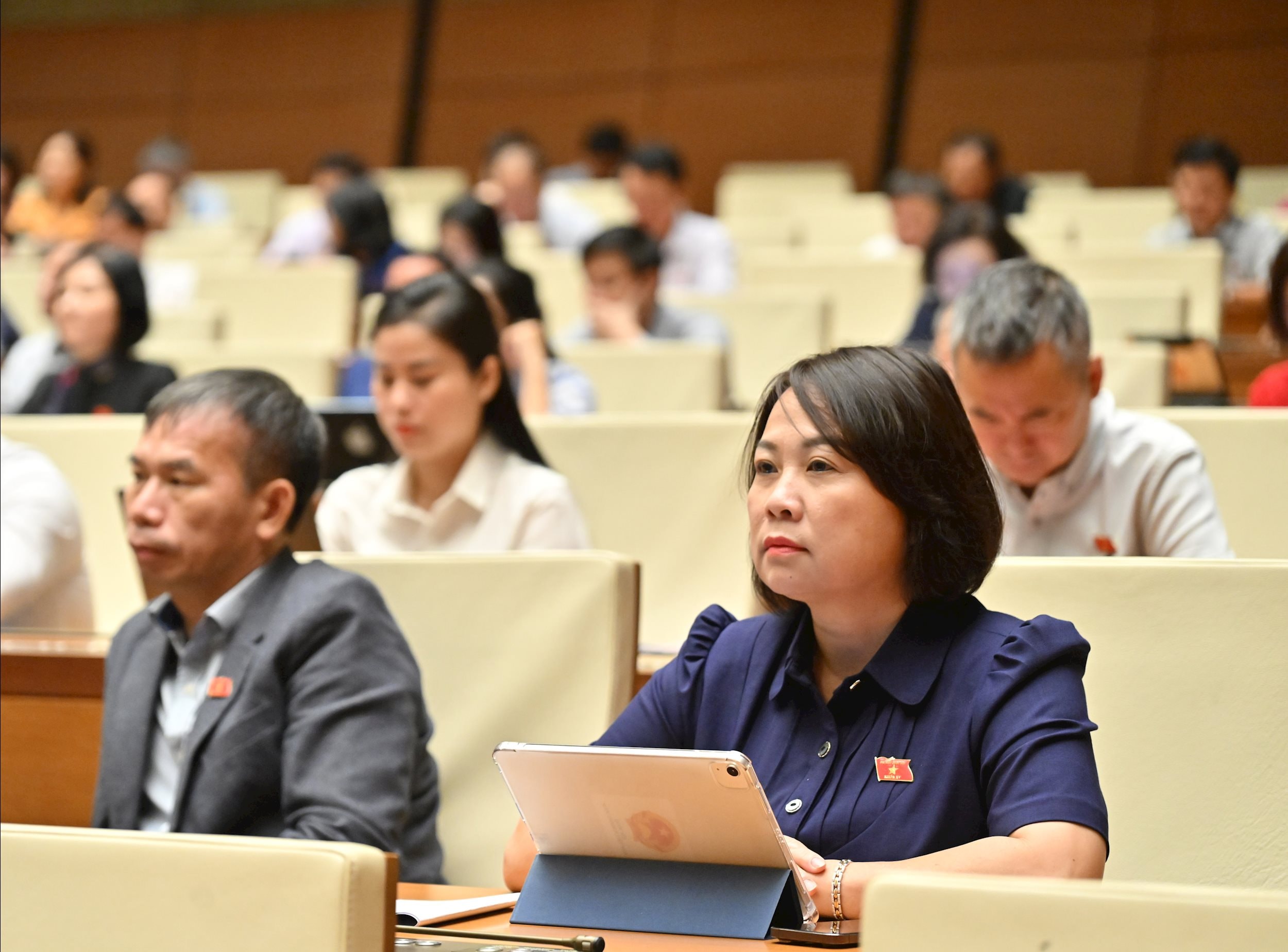 Các đại biểu tại phiên họpVQK_3032